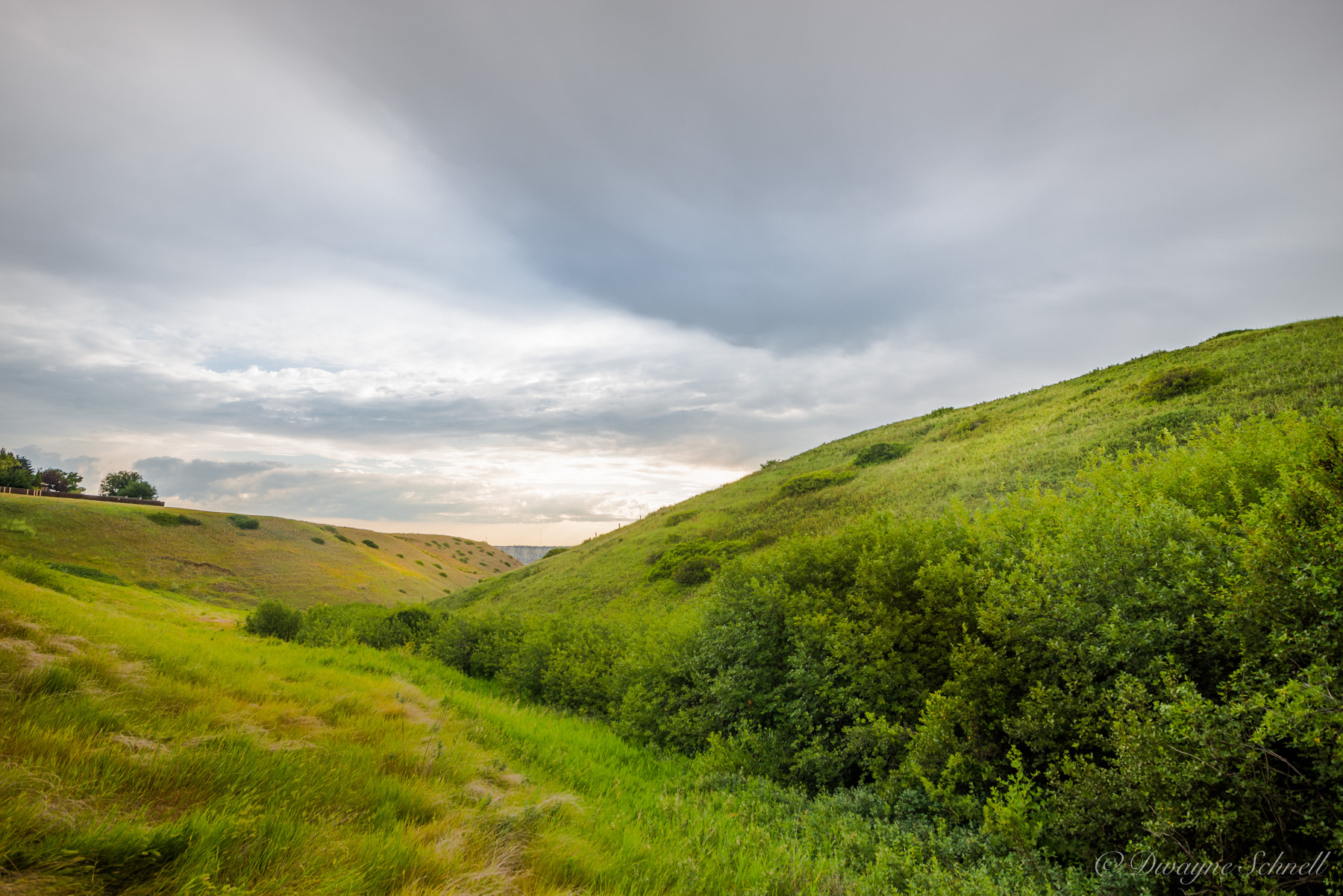 Nikon D610 + Sigma 20mm F1.8 EX DG Aspherical RF sample photo. Urban greens photography