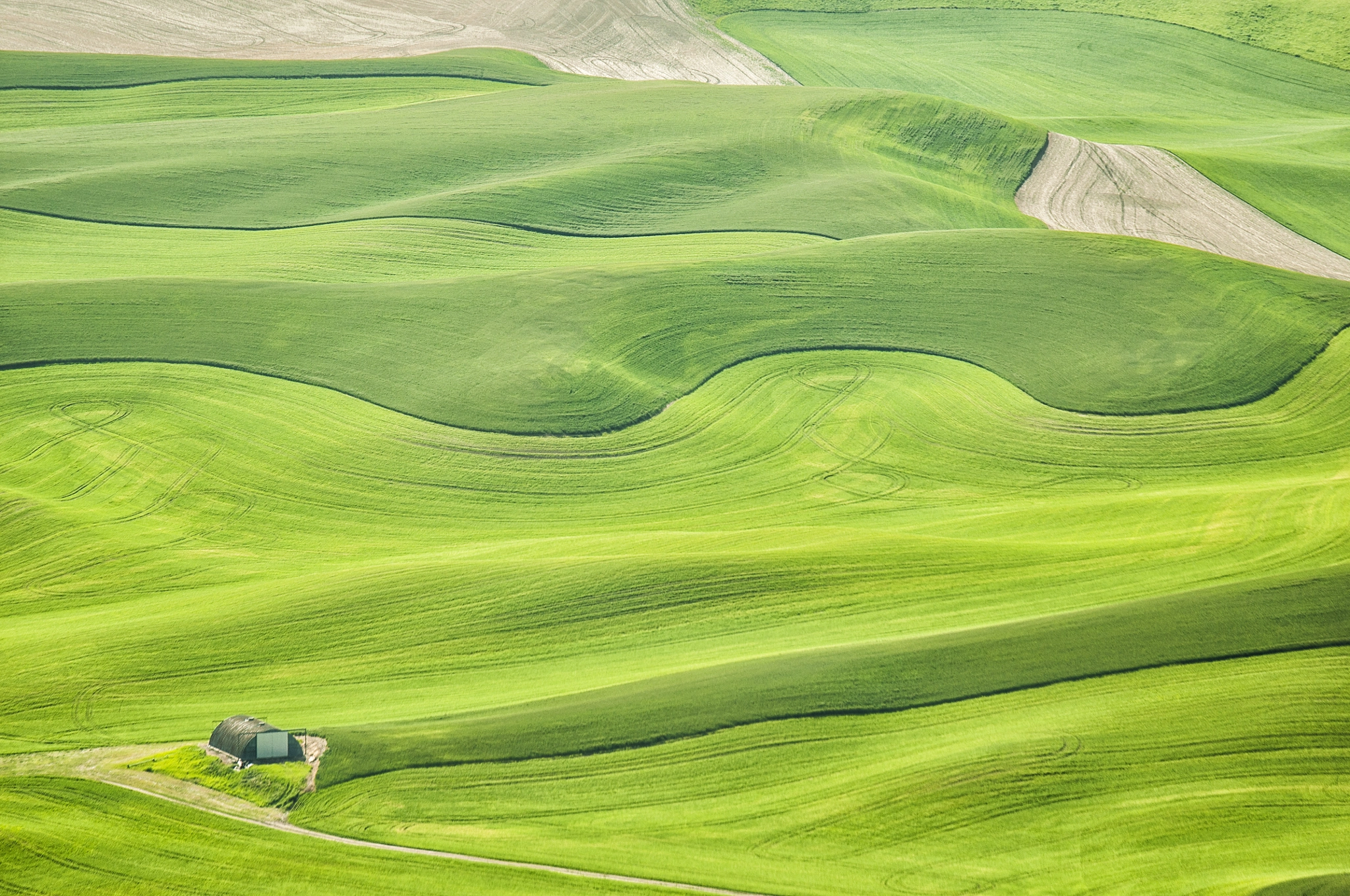 Nikon AF-S Nikkor 70-200mm F2.8G ED VR II sample photo. Palouse photography