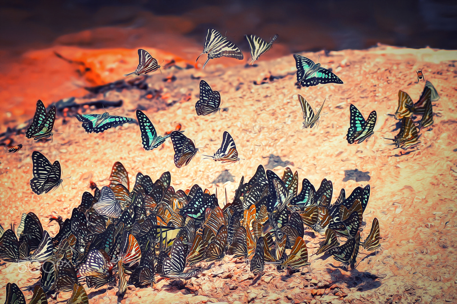 Sony SLT-A65 (SLT-A65V) + Tamron SP AF 90mm F2.8 Di Macro sample photo. Beautiful butterflies swarm oil pain thailand photography