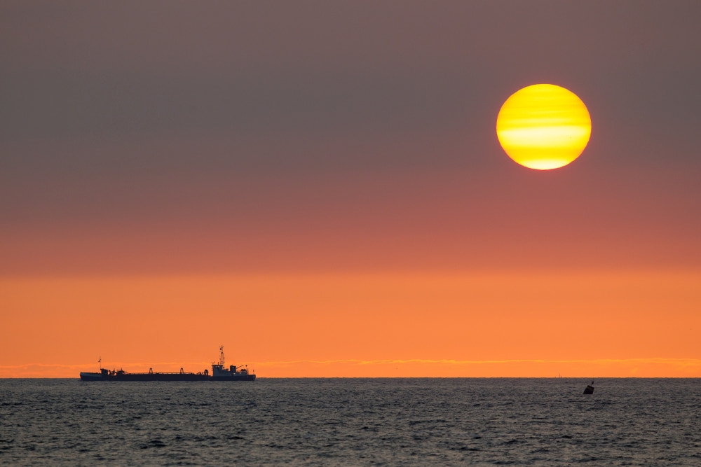 Canon EF 400mm F2.8L IS II USM sample photo. _-----____° photography