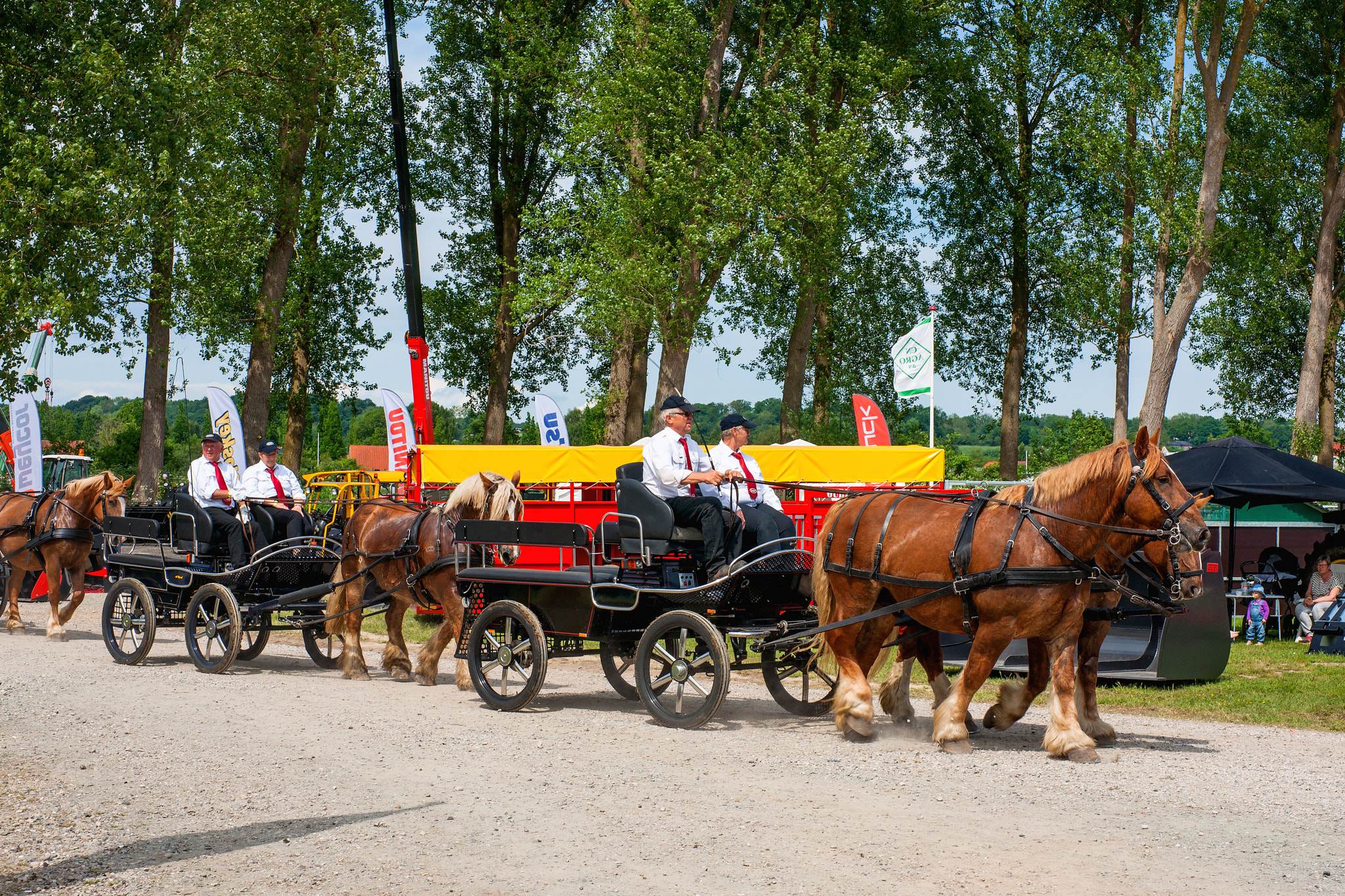 Sony Alpha DSLR-A900 + Sony 50mm F1.4 sample photo. Horse carriages at a agricultural show photography