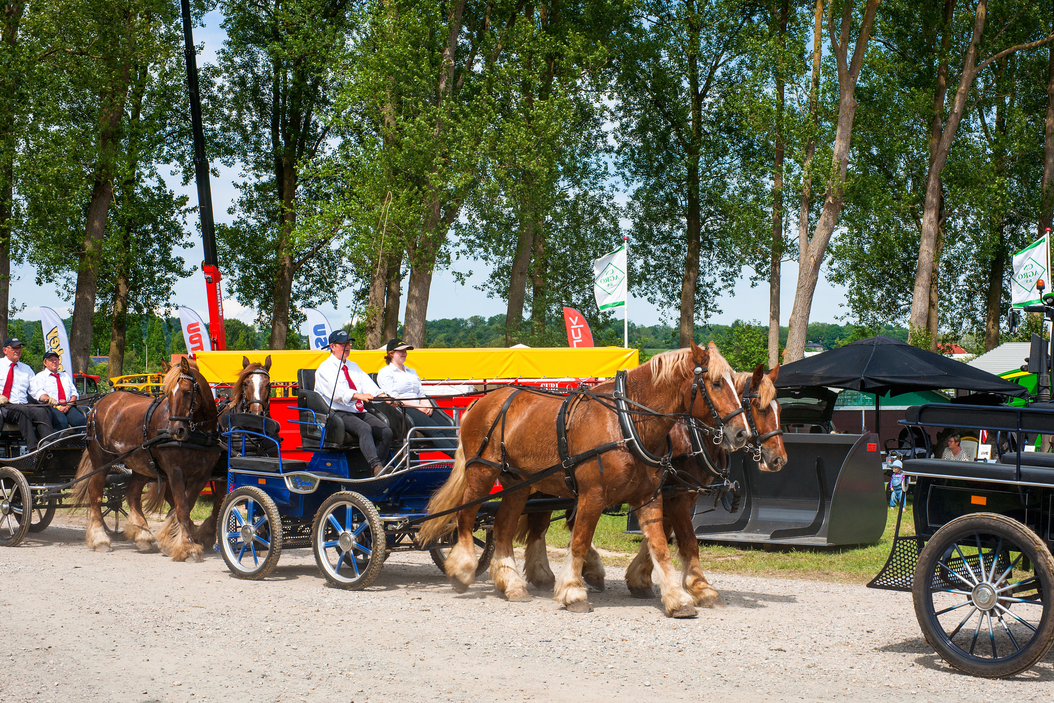Sony Alpha DSLR-A900 + Sony 50mm F1.4 sample photo. Horse carriage parade at a agricultural show photography