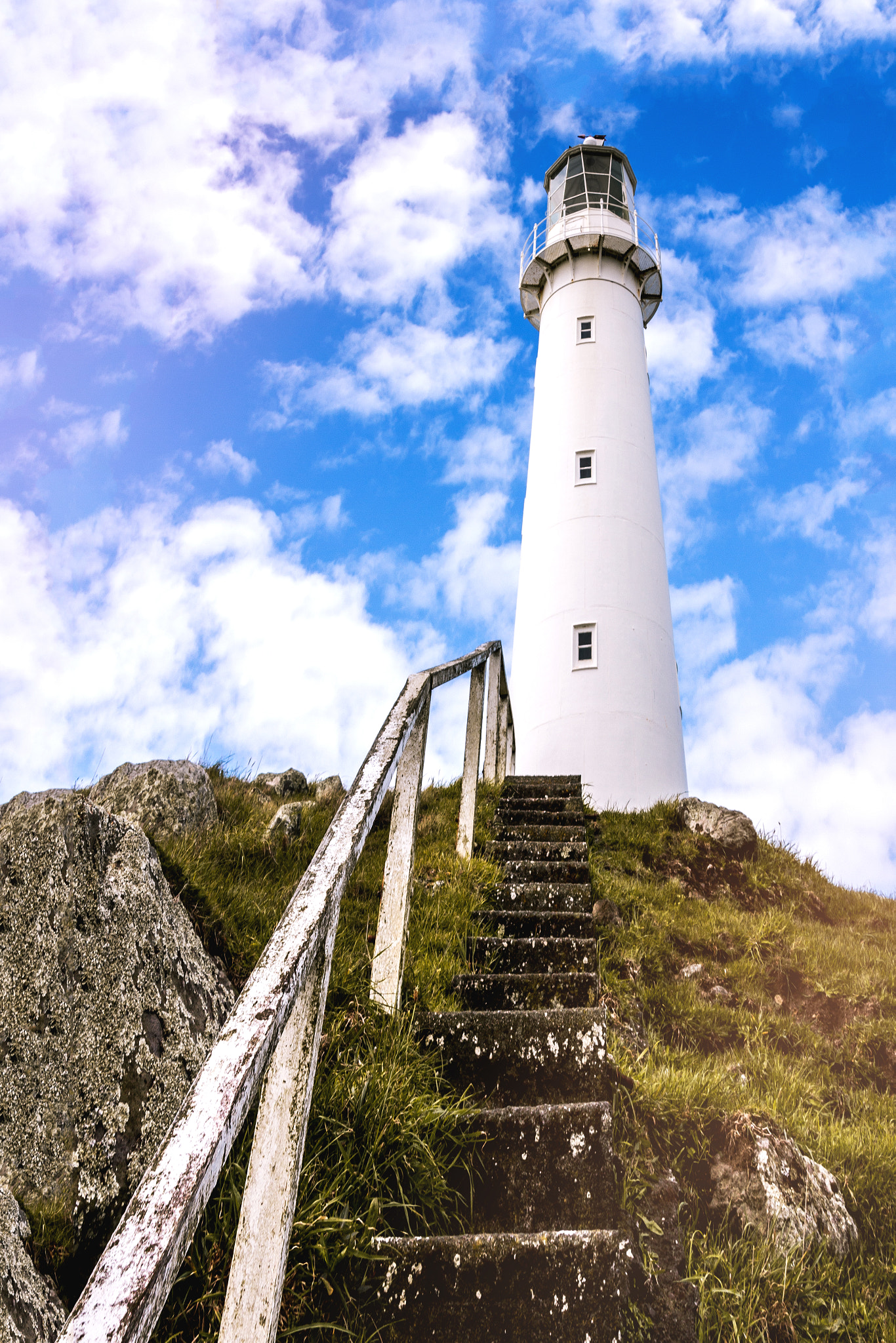 Sigma 18-250mm F3.5-6.3 DC OS HSM sample photo. The climb photography