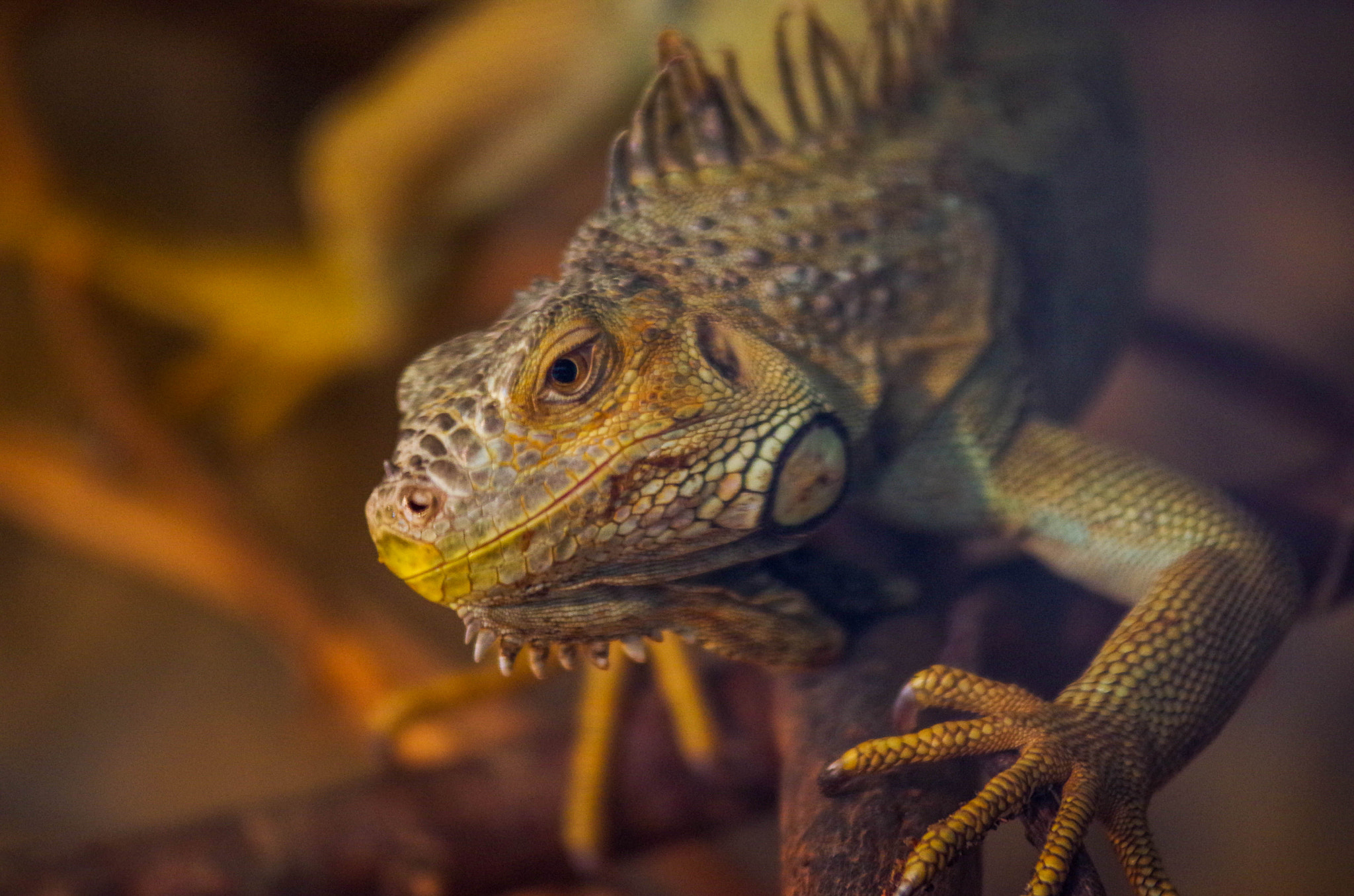 Pentax K-30 sample photo. [] photography