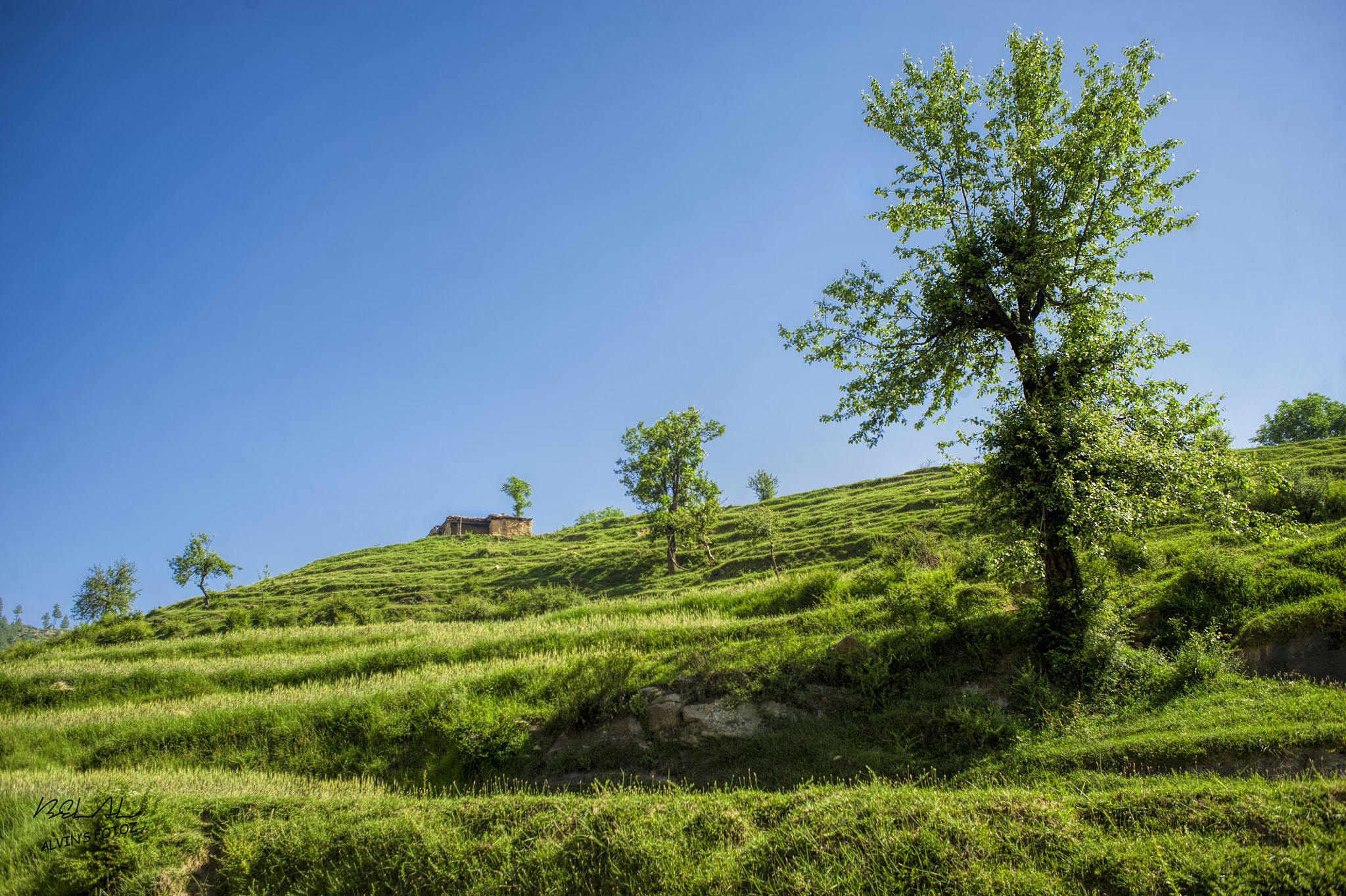 Nikon D700 + AF Nikkor 28mm f/2.8 sample photo. Blue and green  photography