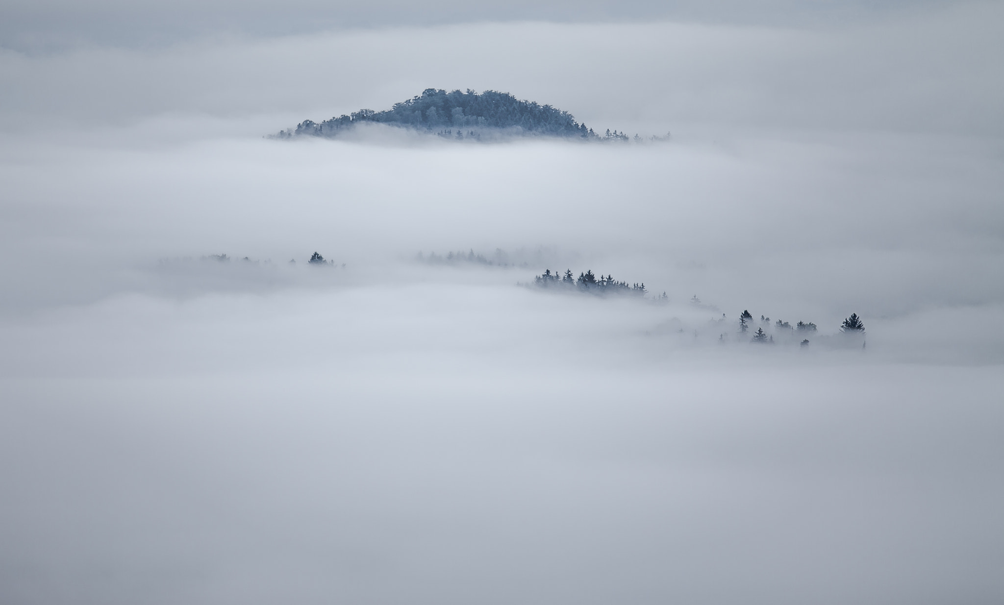 Canon EF 70-200mm F2.8L USM sample photo. Morning mist photography