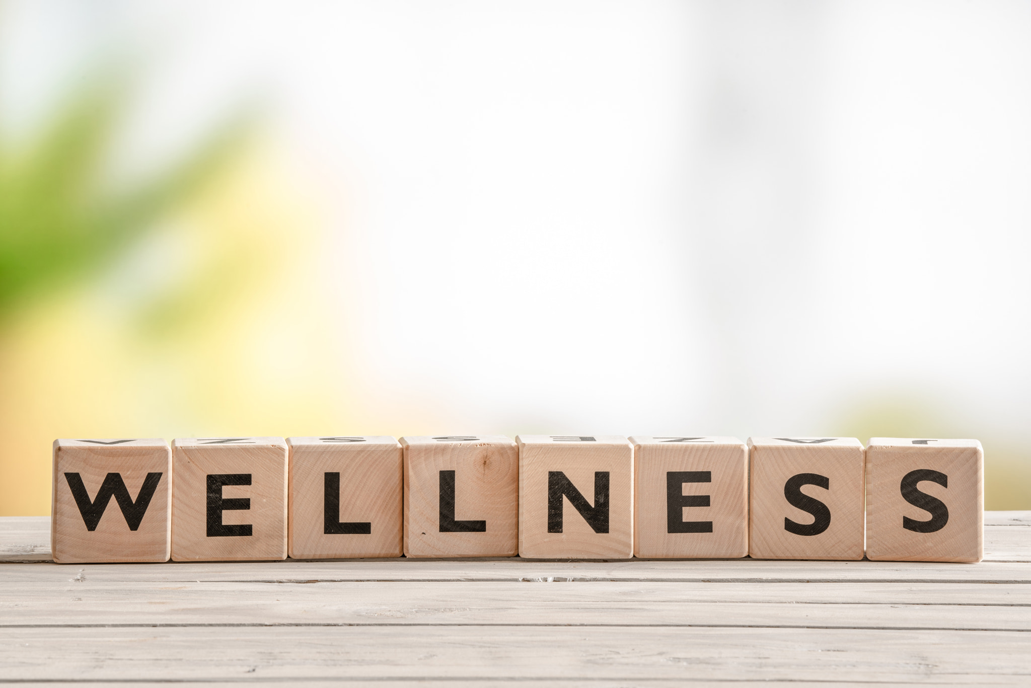 Sony 70-400mm F4-5.6 G SSM II sample photo. Wooden sign with the word wellness photography