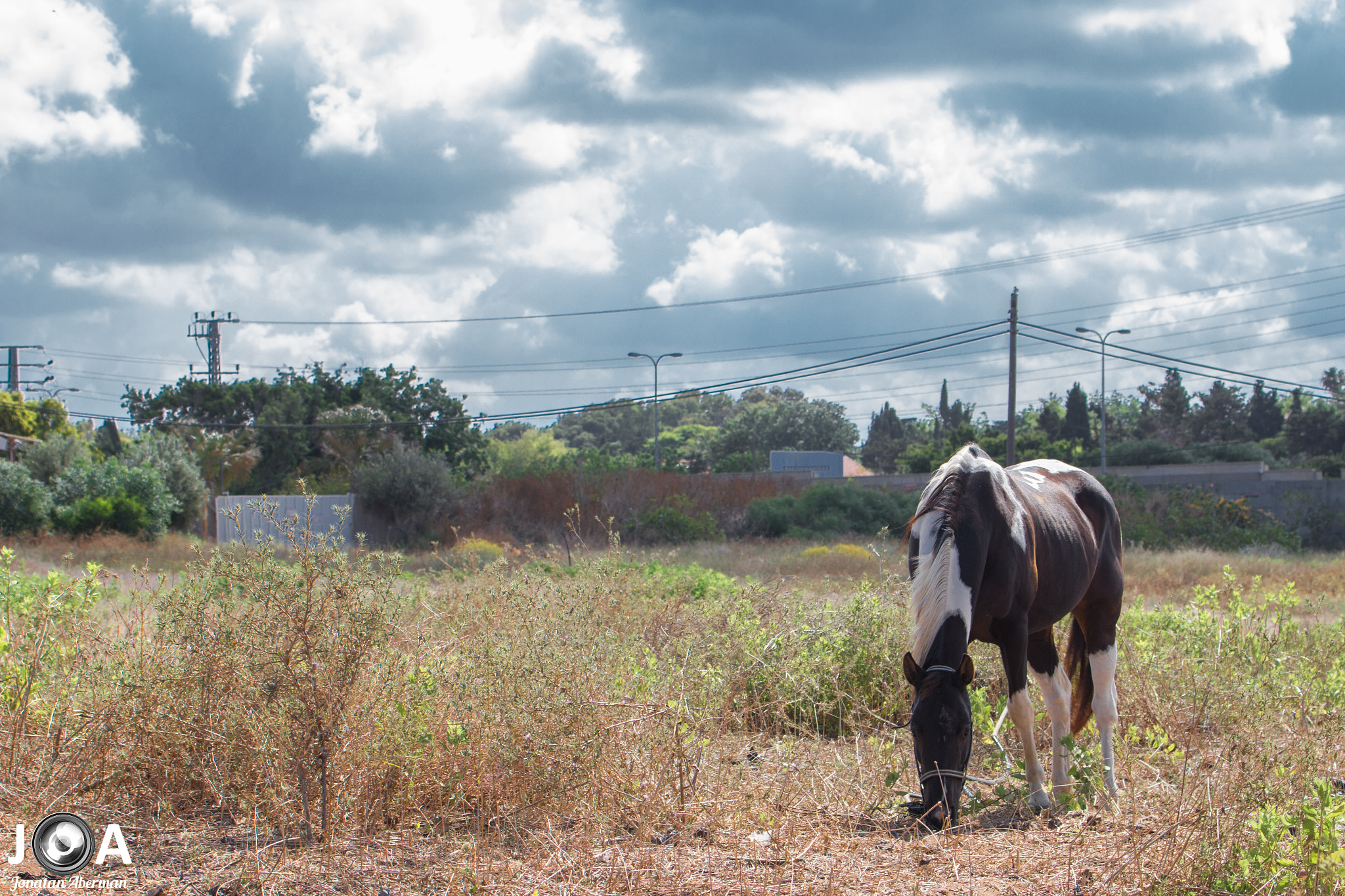 Canon EF 70-300mm F4-5.6L IS USM sample photo. Untitled  photography