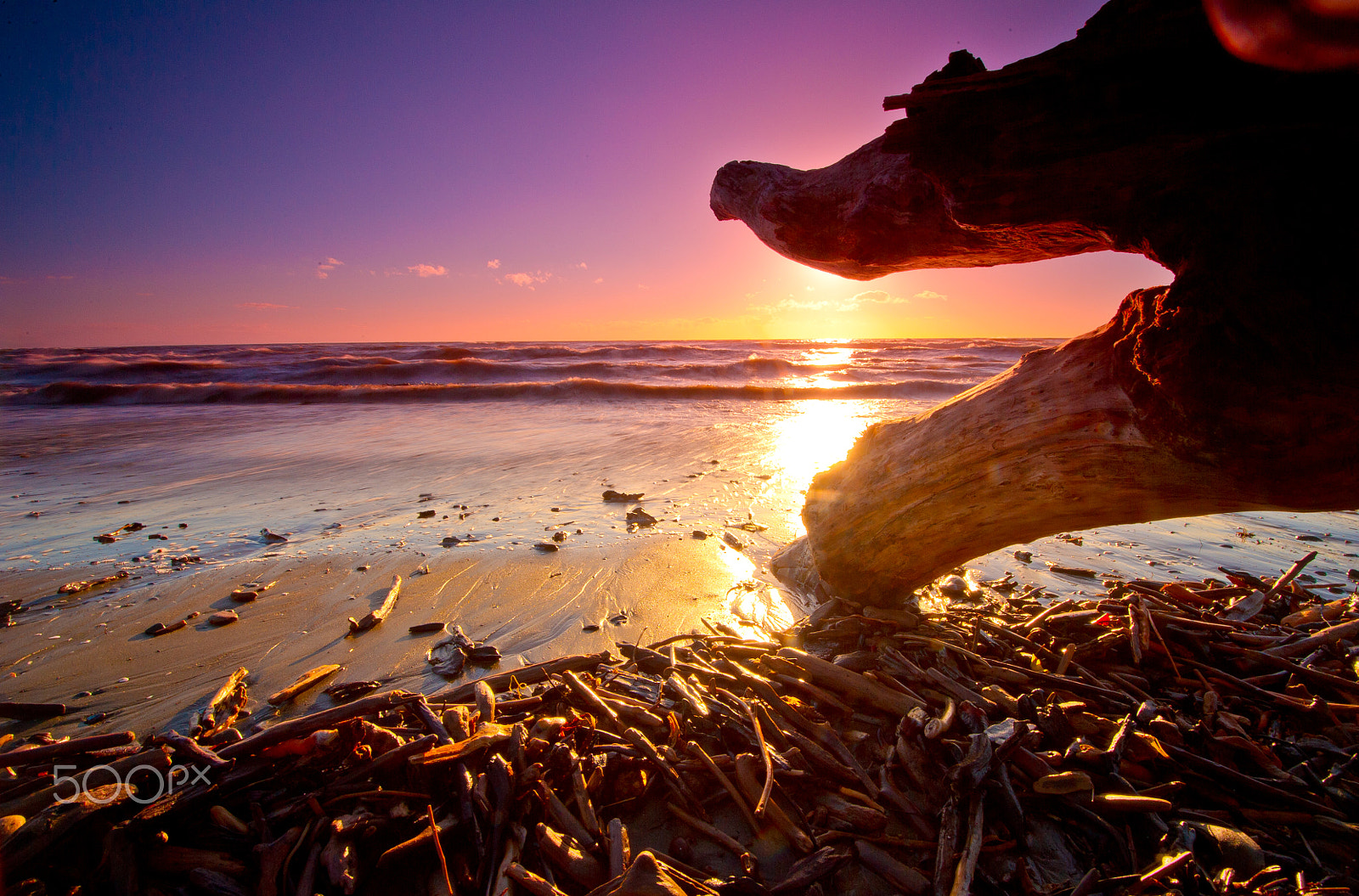 Nikon D3S sample photo. Wellington northern beaches photography