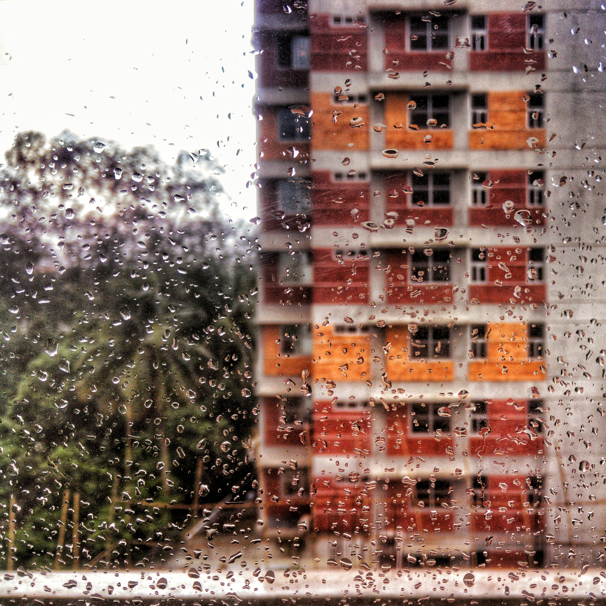 OnePlus One A0001 sample photo. Thinking of you photography