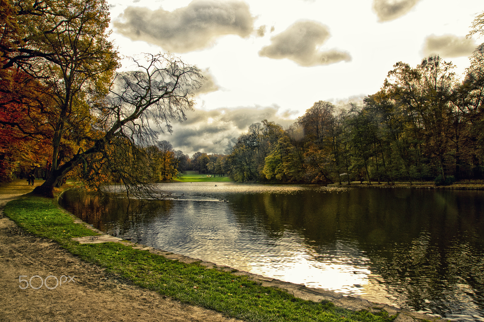 Sony SLT-A77 sample photo. Bois de la cambre photography