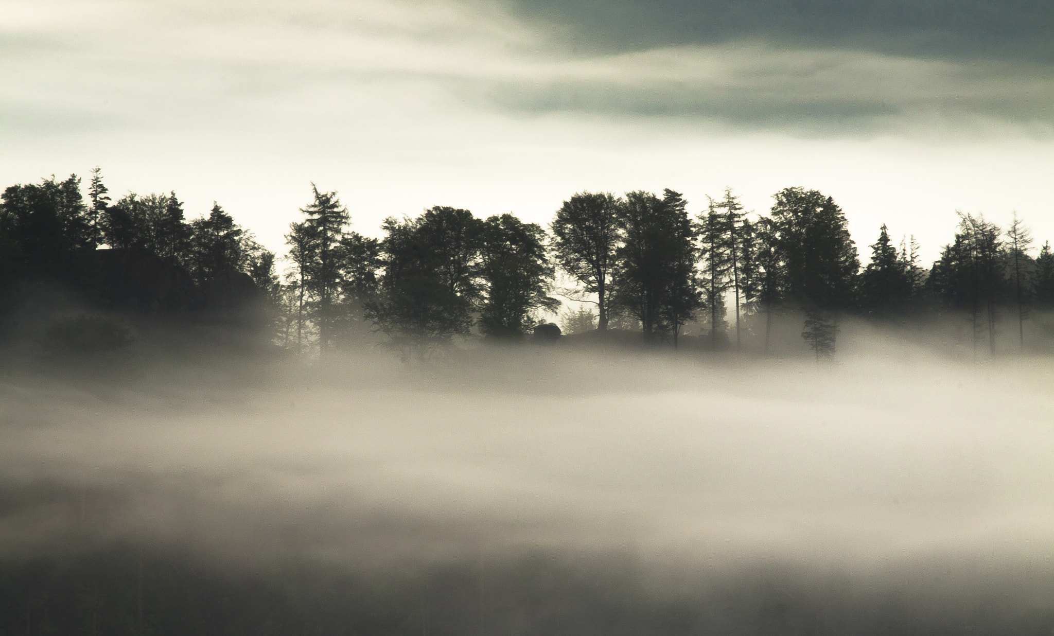 Canon EOS 50D + Canon EF 300mm F4L IS USM sample photo. Morning mist photography