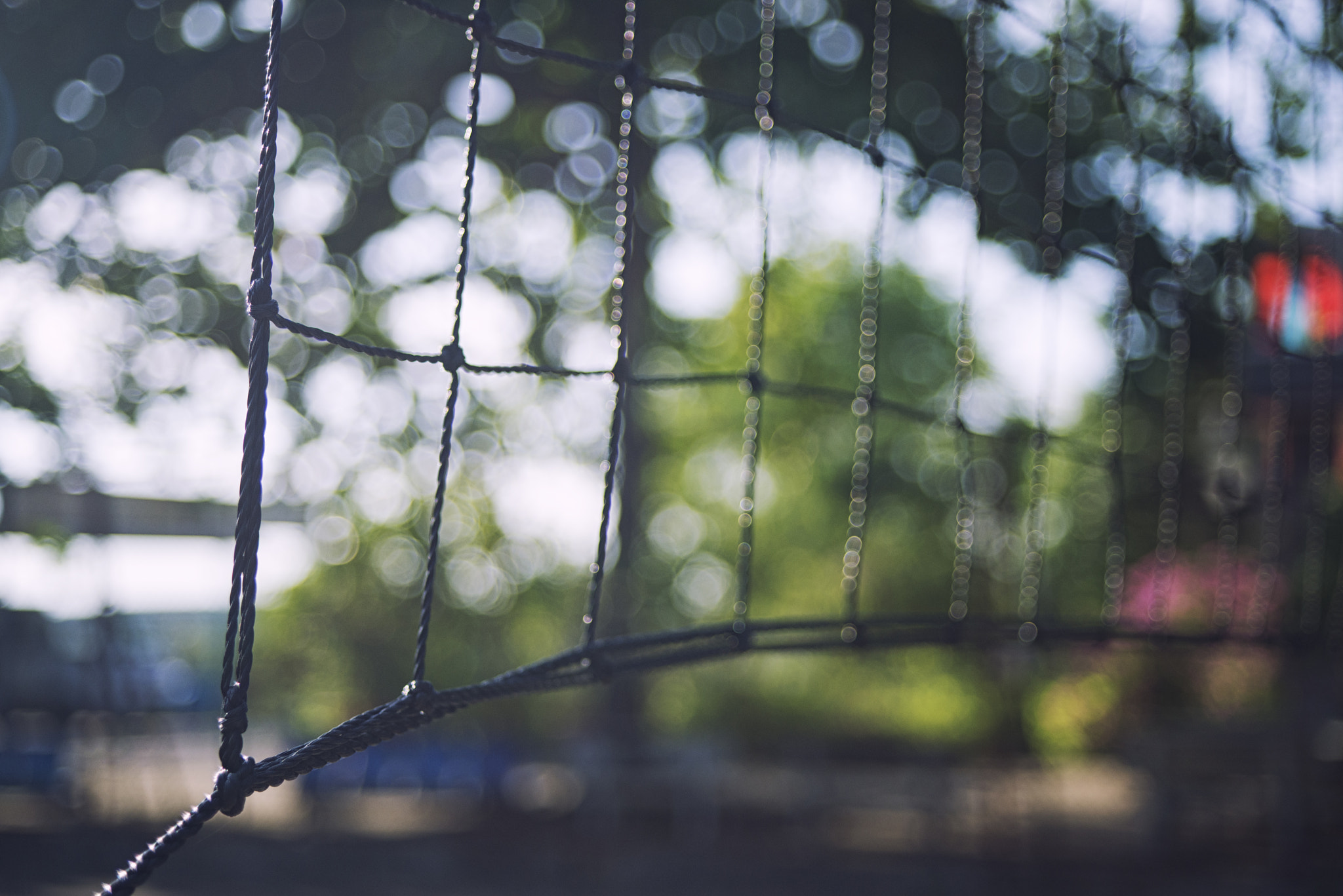 AF Zoom-Nikkor 28-70mm f/3.5-4.5D sample photo. Bokeh web photography