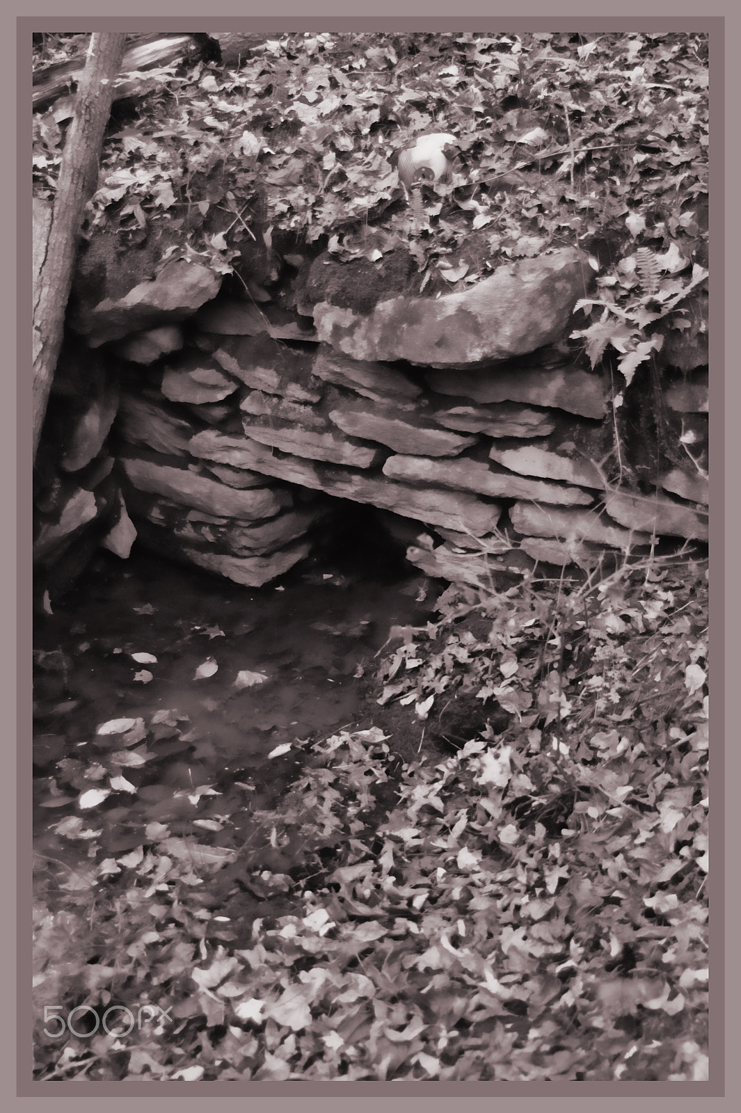 Tamron SP AF 28-105mm f/2.8 LD Aspherical IF sample photo. Old spring in sepia tone photography