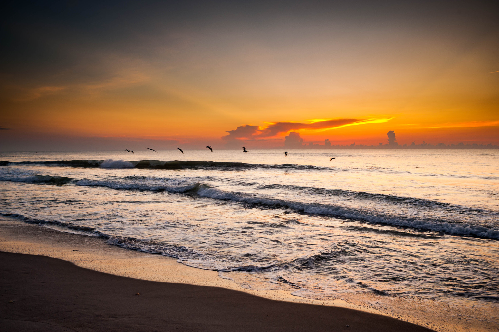 Nikon D700 + AF Nikkor 28mm f/2.8 sample photo. Birds over the ocean photography