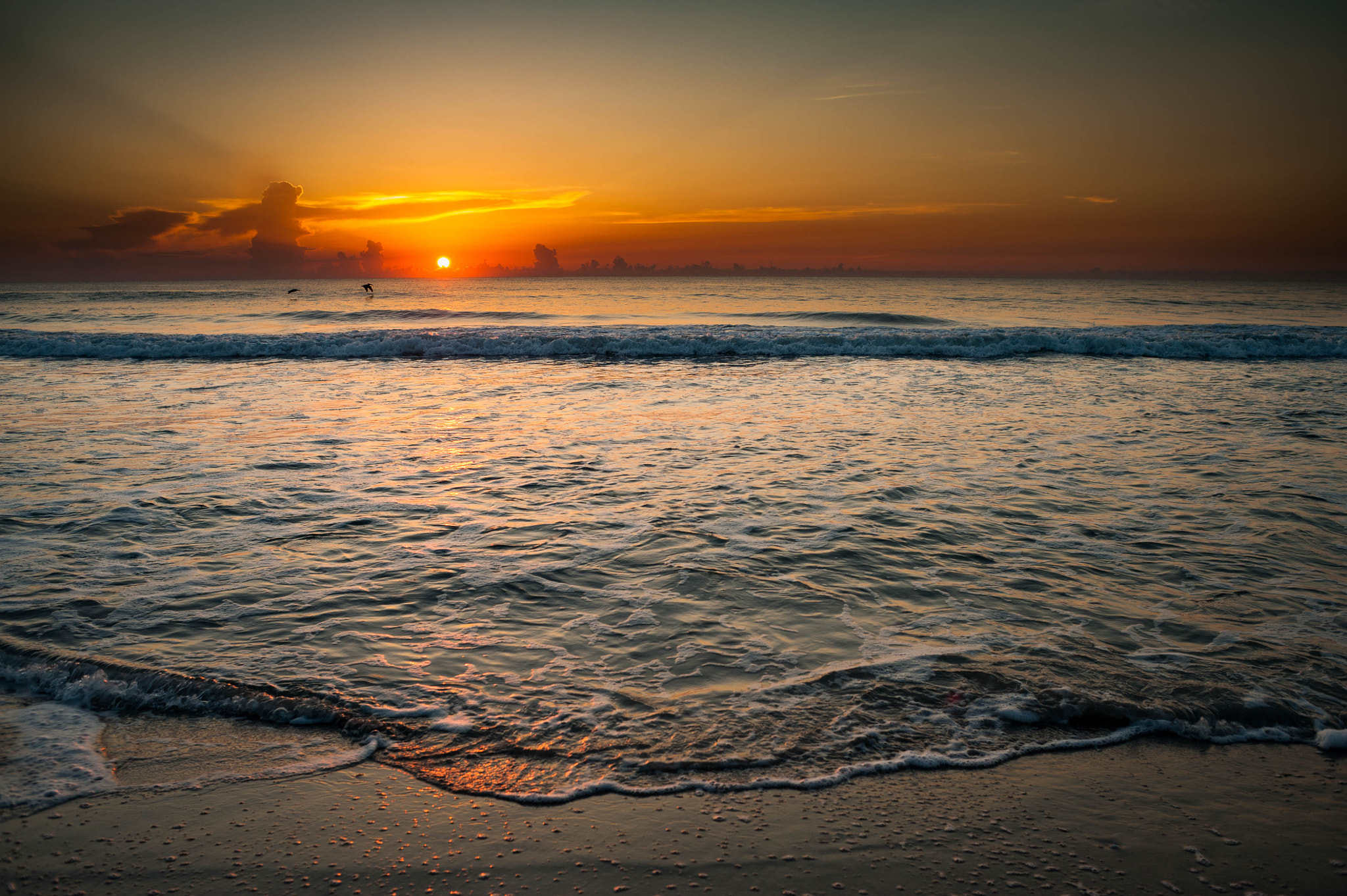 Nikon D700 + AF Nikkor 28mm f/2.8 sample photo. Good morning florida photography
