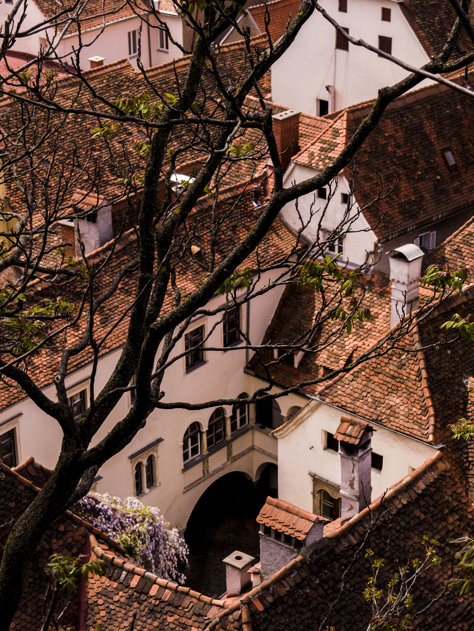 Panasonic Lumix DMC-G3 sample photo. Roofs in graz, austria photography