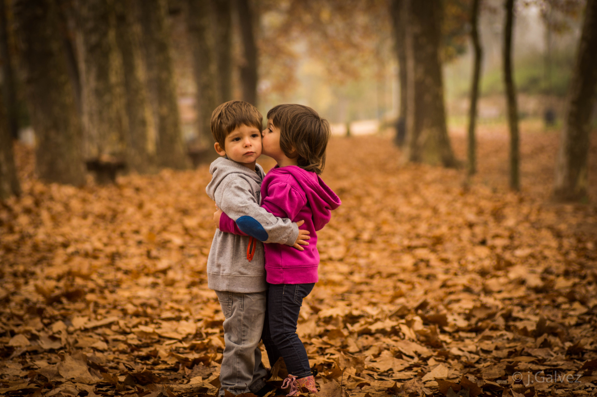 Sony SLT-A65 (SLT-A65V) + Tamron SP AF 90mm F2.8 Di Macro sample photo. Twins love photography