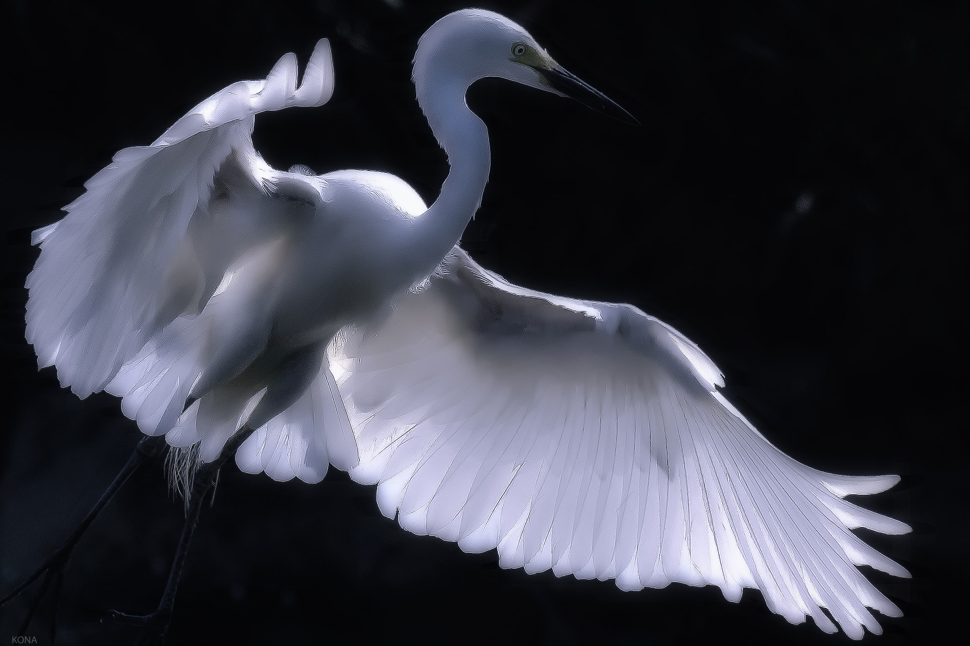 Nikon AF-S Nikkor 400mm F2.8G ED VR II sample photo. Sagi photography