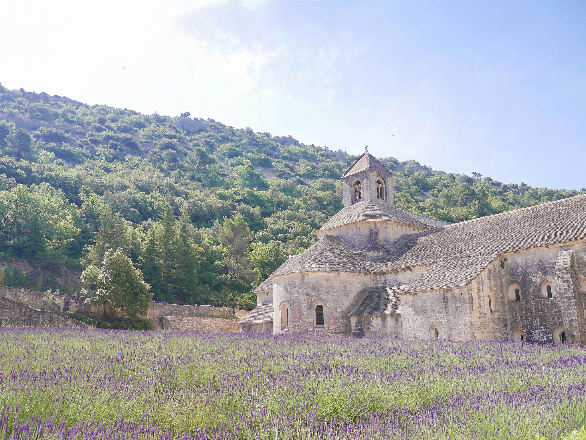 LUMIX G VARIO PZ 14-42/F3.5-5.6 sample photo. Notre-dame de sénanque photography