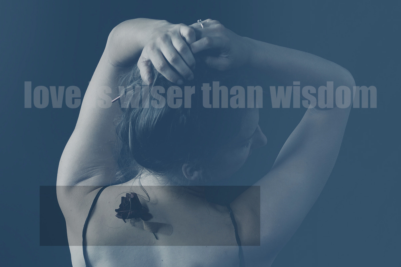 Hasselblad HV sample photo. Love is wiser than wisdom - the name of rose photography