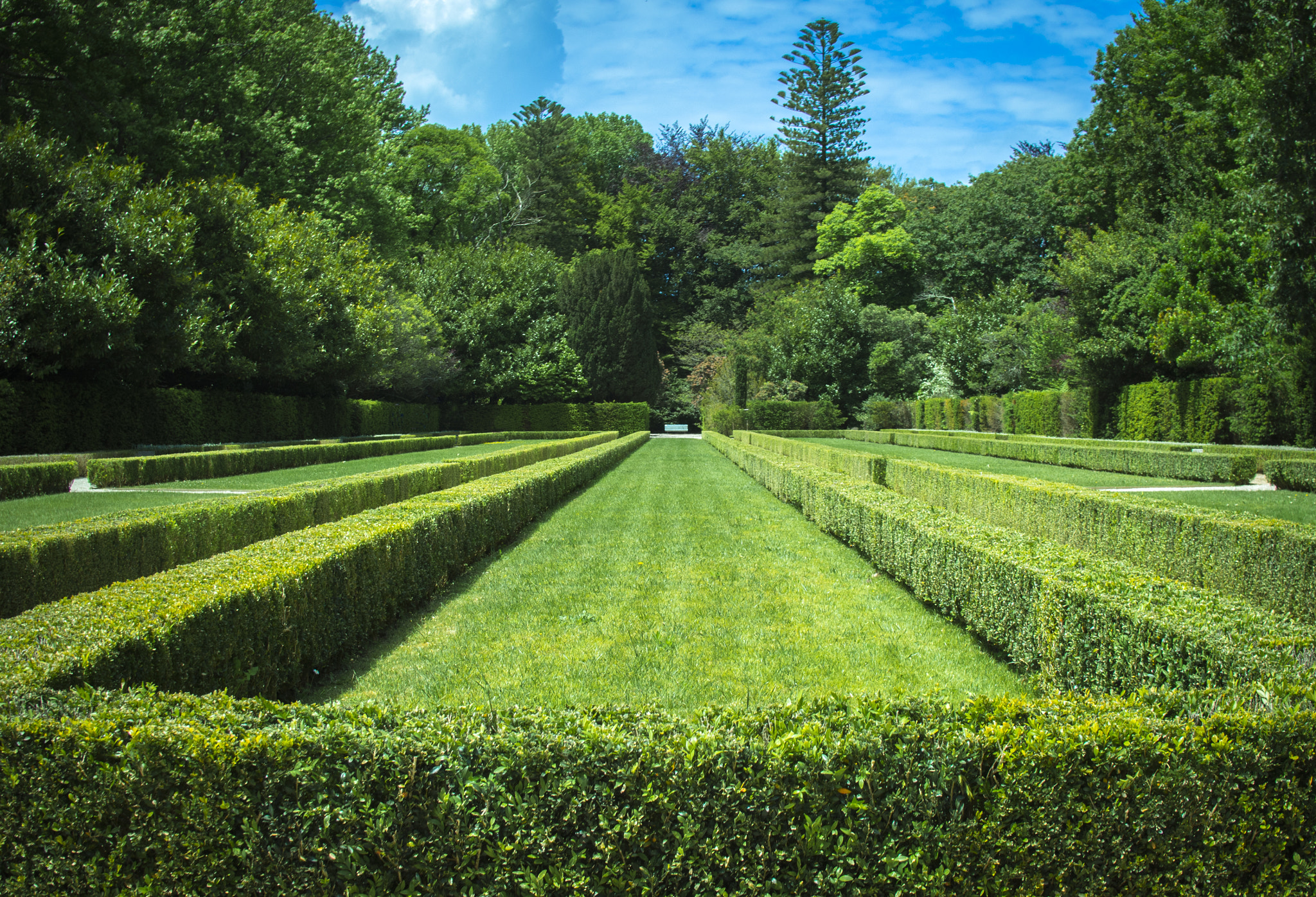 Olympus PEN E-PL6 + Sigma 19mm F2.8 DN Art sample photo. Serralves park photography