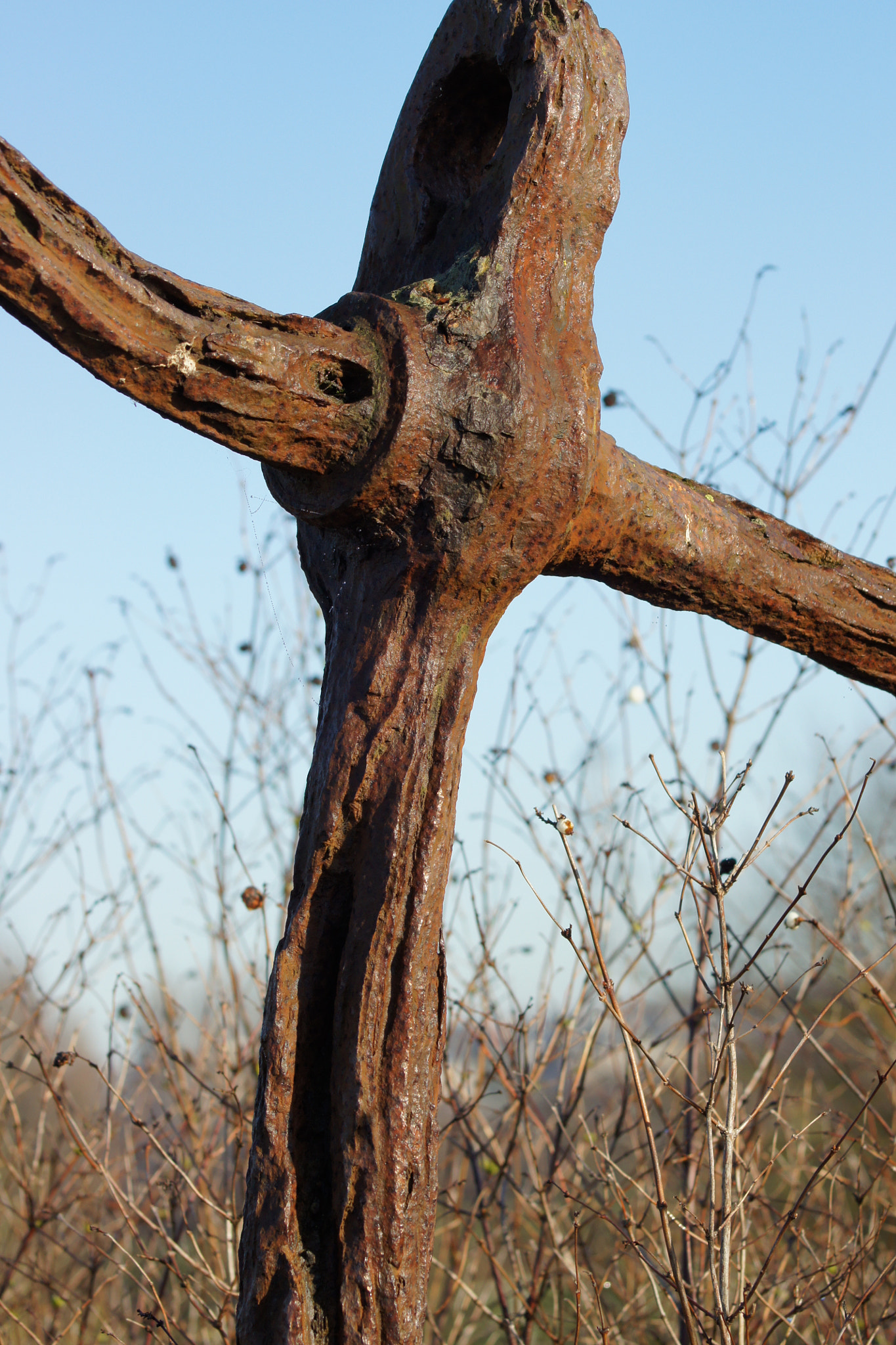 Sony Alpha DSLR-A500 sample photo. Rusty anchor. photography