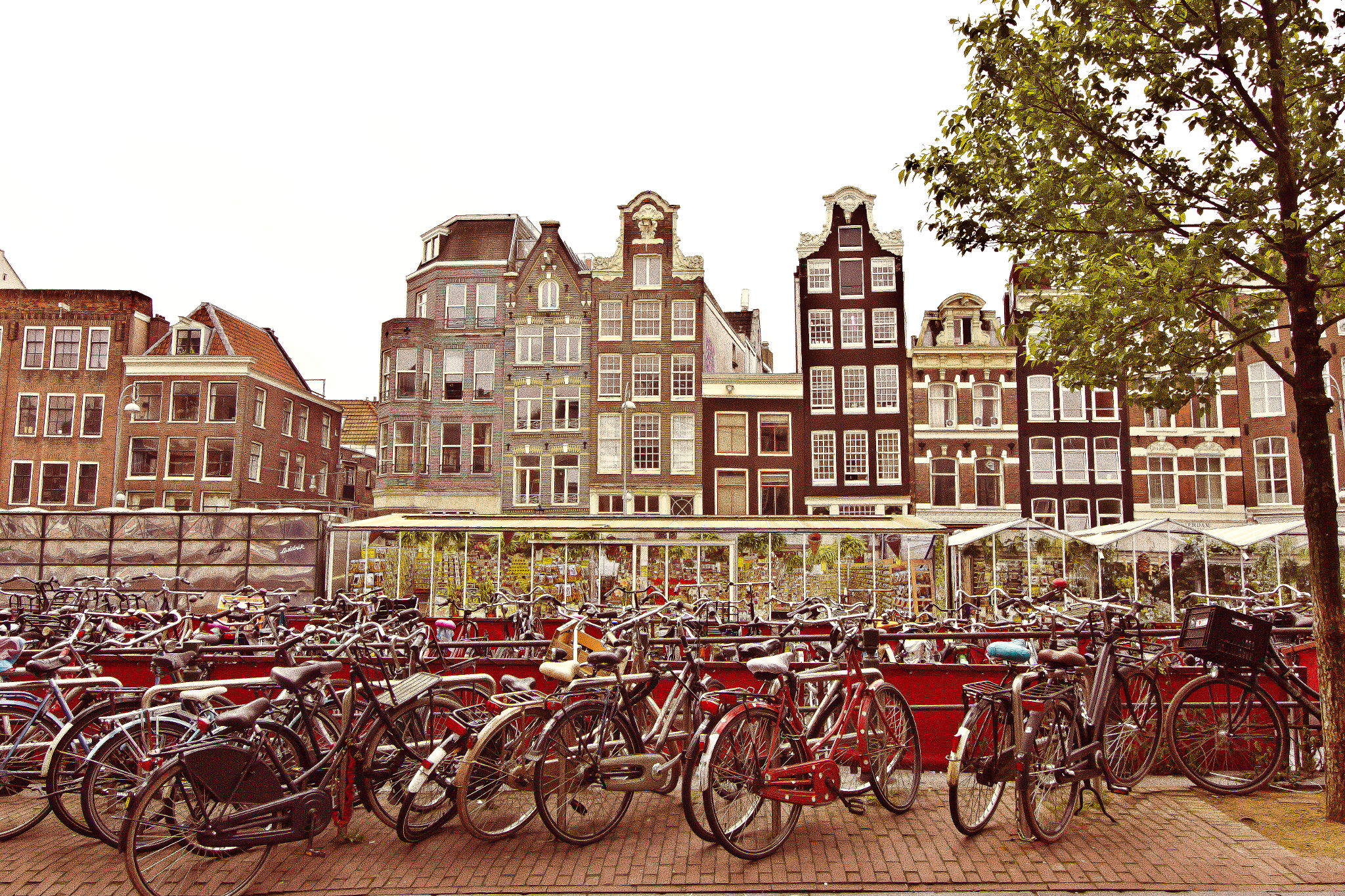 Canon EF-S 10-18mm F4.5–5.6 IS STM sample photo. Amsterdam photography