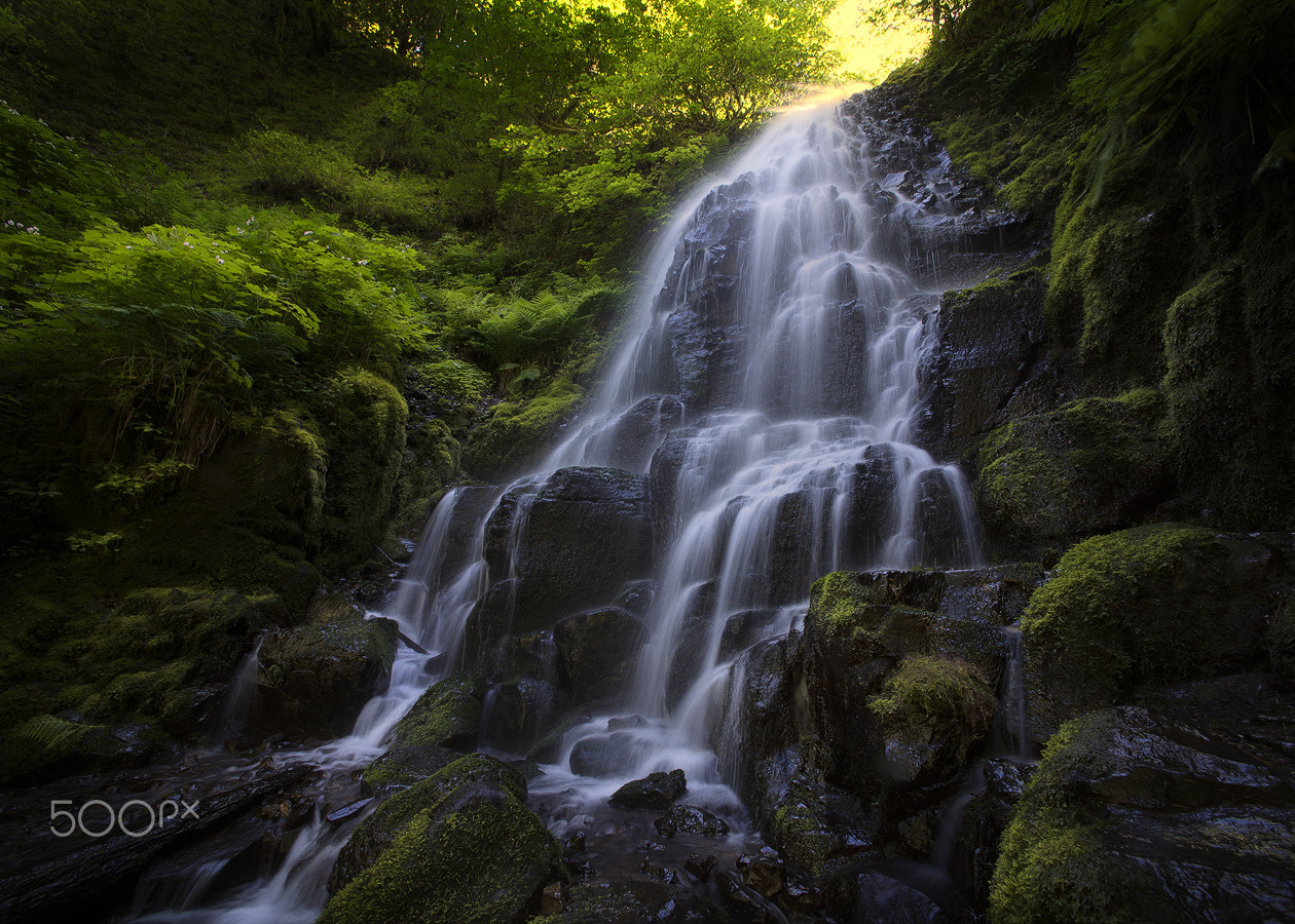 Nikon D4 + Nikon AF Nikkor 14mm F2.8D ED sample photo. Fairy falls photography