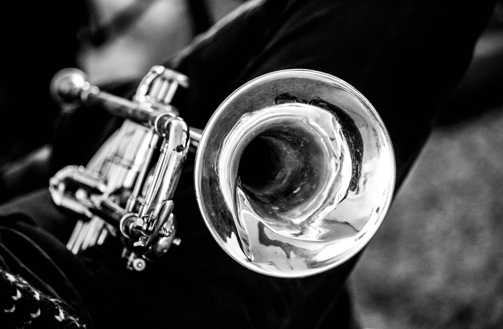 Canon EOS 1000D (EOS Digital Rebel XS / EOS Kiss F) sample photo. Trumpet photography