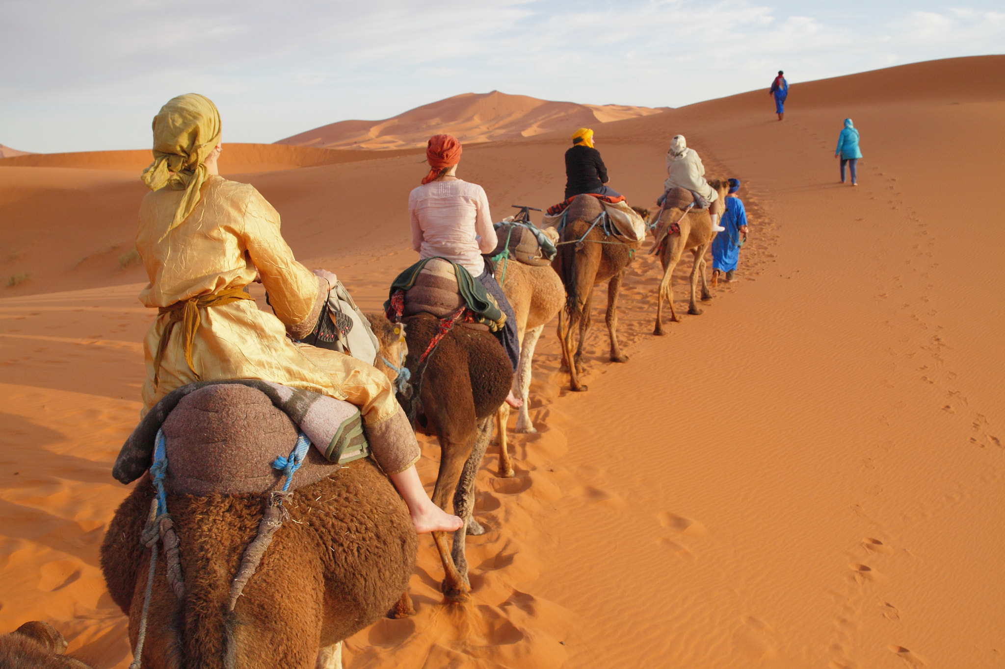 Canon EF 24-70mm F2.8L II USM sample photo. Camel trekking in sahara photography