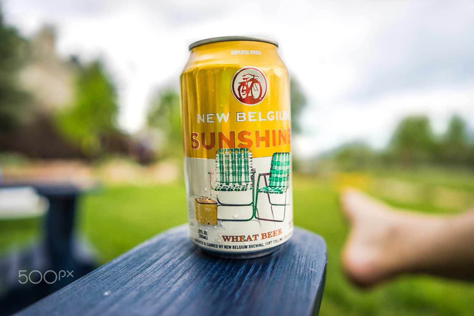 Sony a7 + ZEISS Batis 25mm F2 sample photo. Sunshine wheat photography