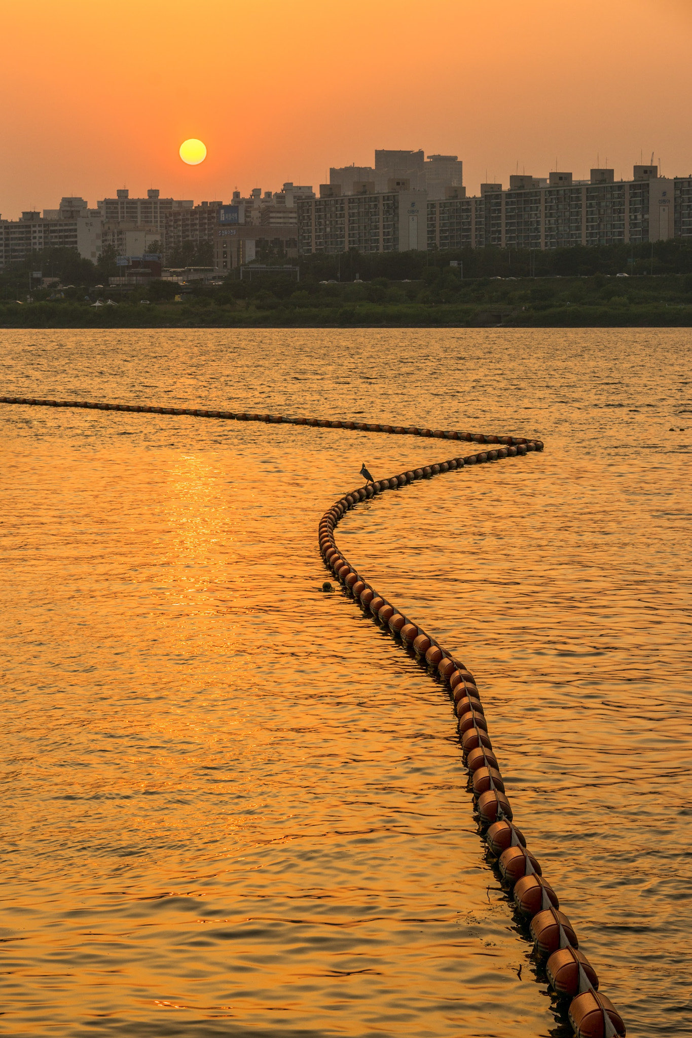 Sony a7 + Sony FE 85mm F1.4 GM sample photo. Sunset on the han river, seoul korea photography