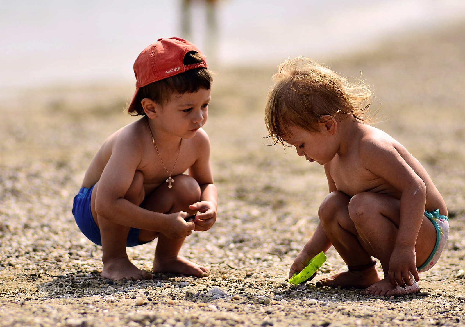 Nikon D800 + AF Nikkor 180mm f/2.8 IF-ED sample photo. Making friends photography