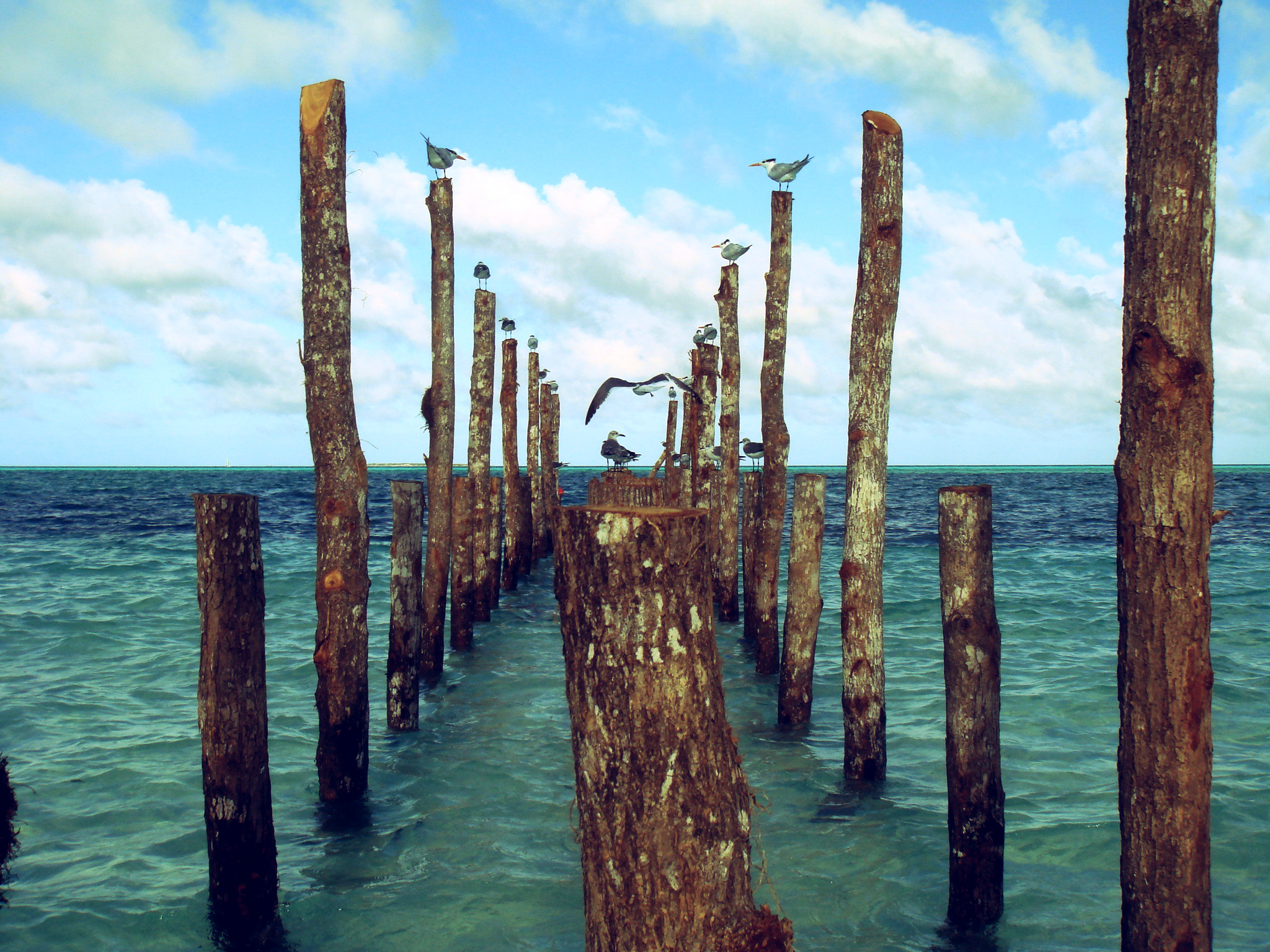 Sony DSC-T10 sample photo. Sea in cuba photography