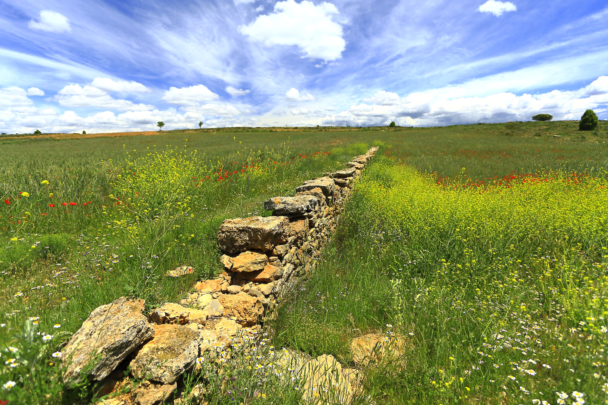 Canon EOS-1Ds Mark III sample photo. Wall photography
