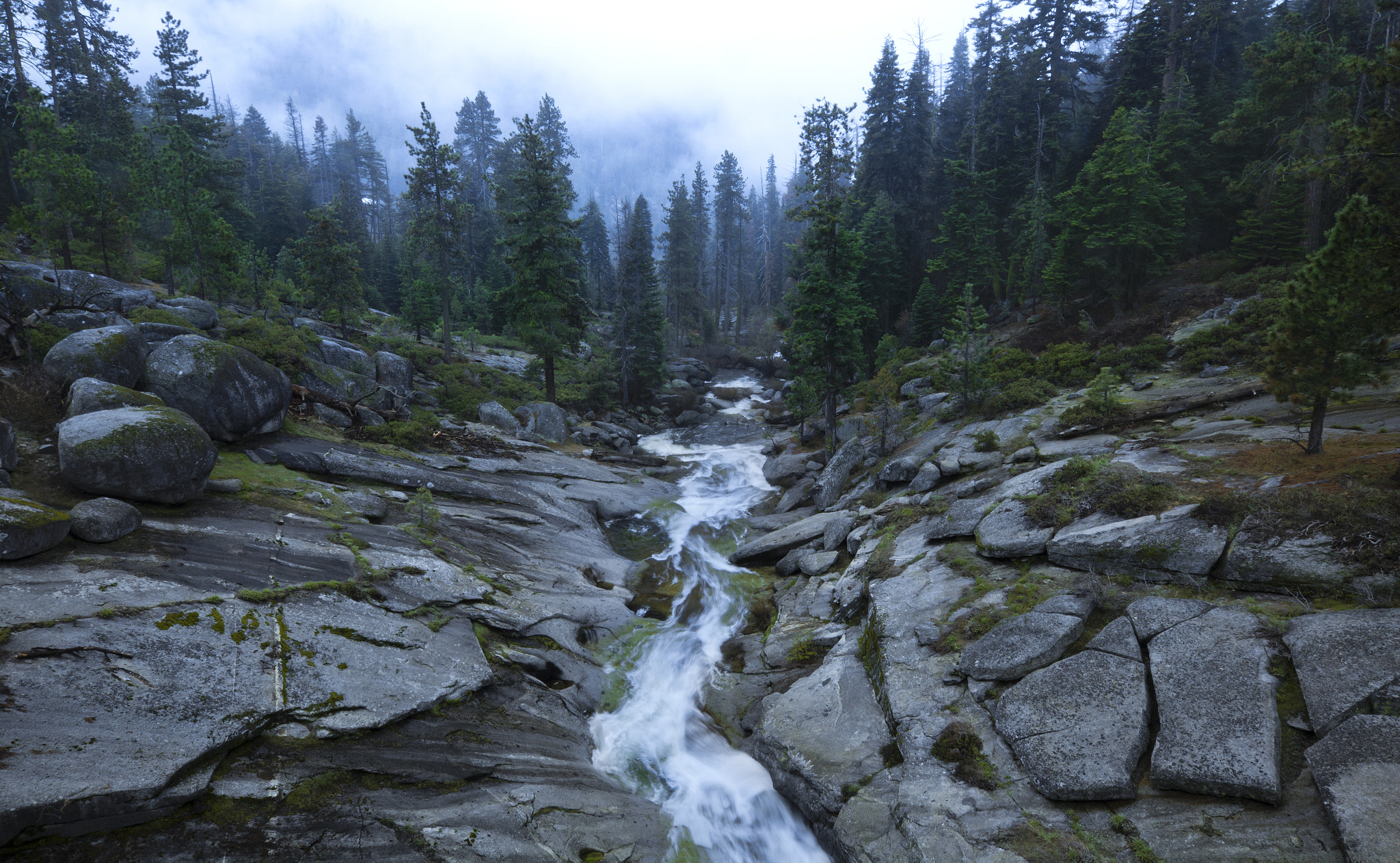 Sigma 10-20mm F3.5 EX DC HSM sample photo. Clover creek photography
