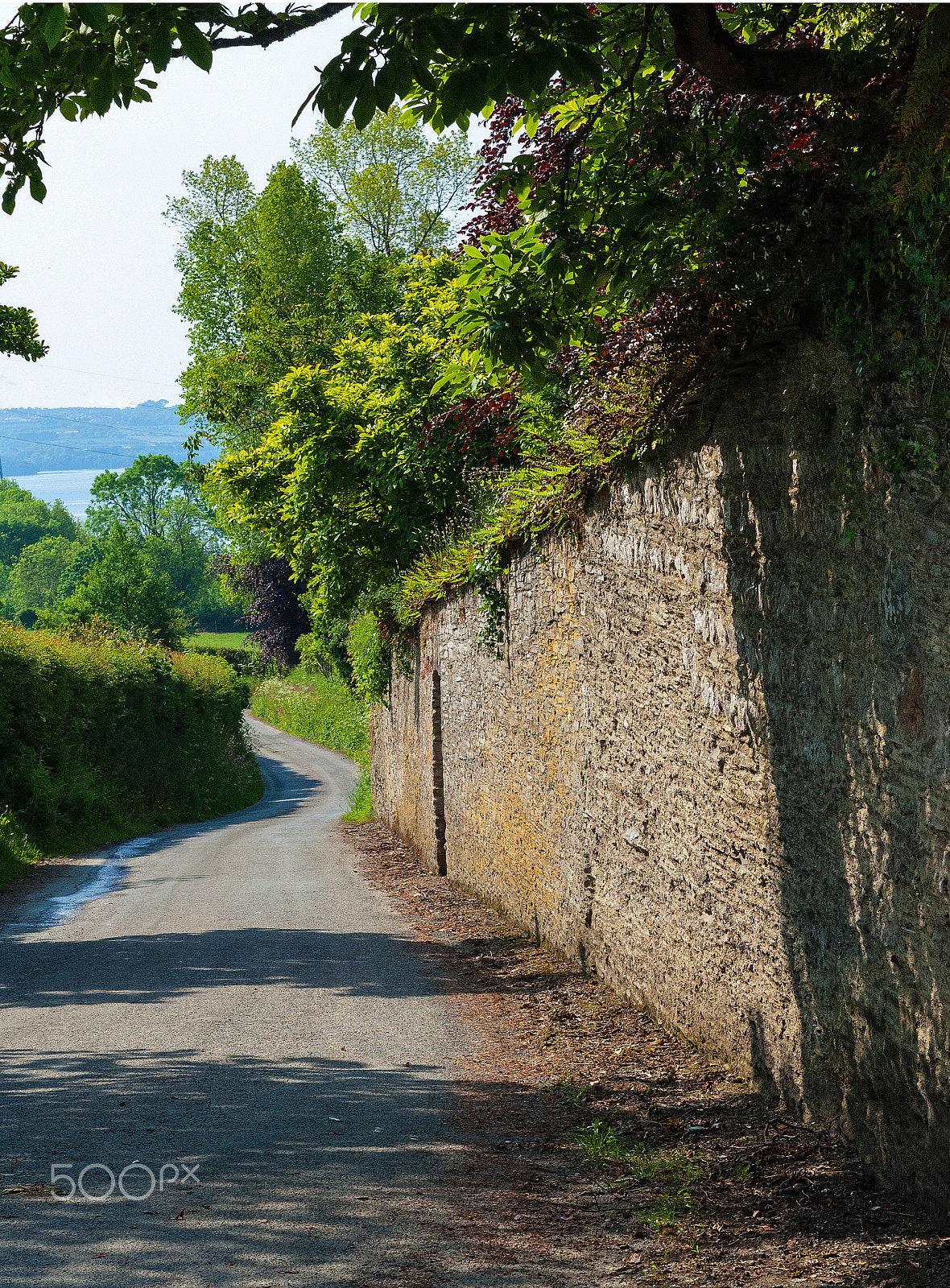 Nikon D2X sample photo. Walled photography