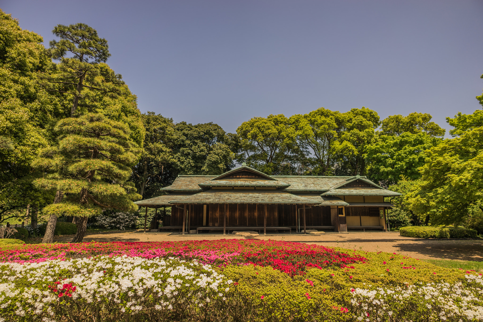 Sony a7 + E 21mm F2.8 sample photo. Tea house tokyo shibuya photography