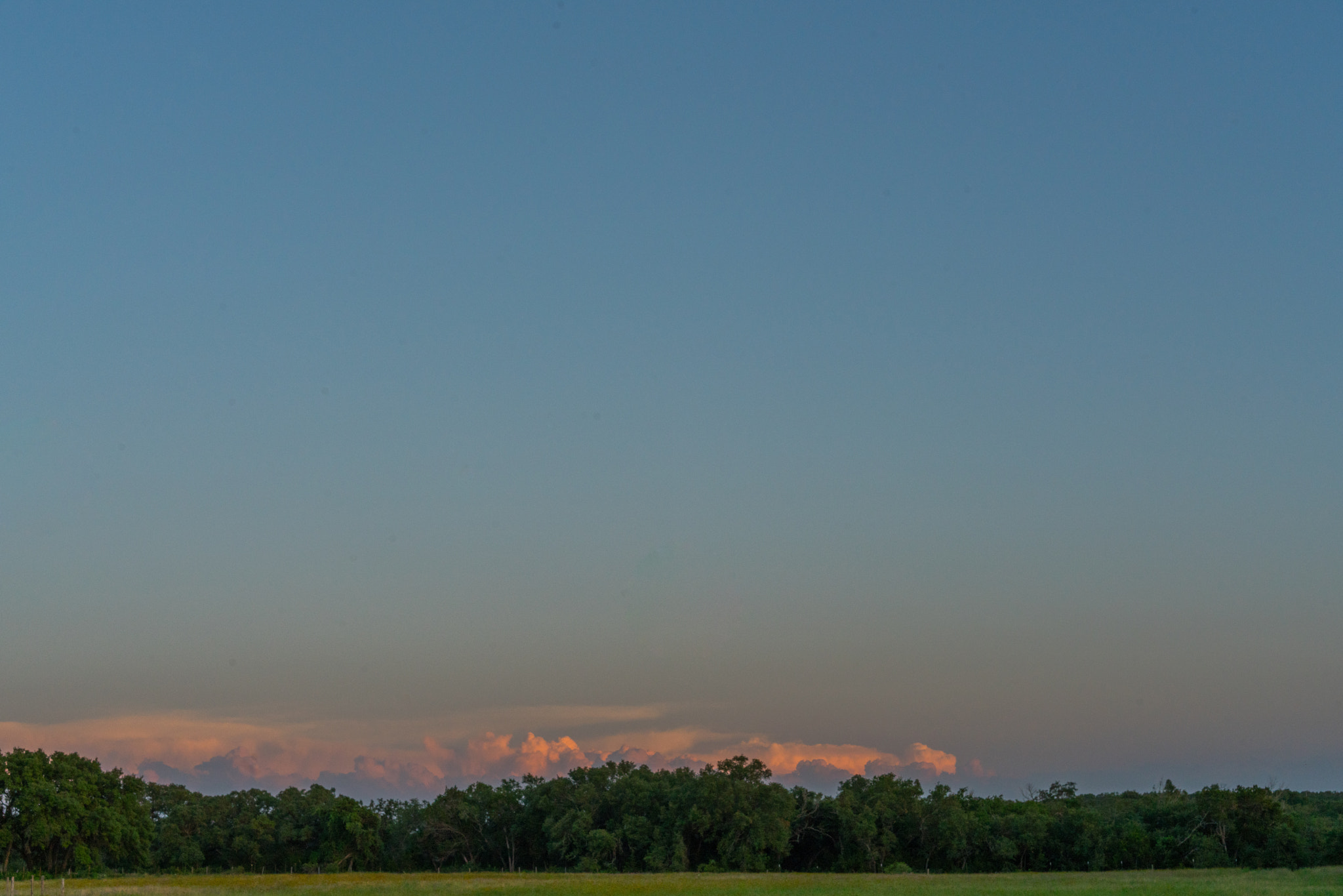 E 50mm F2 sample photo. Storm is coming photography
