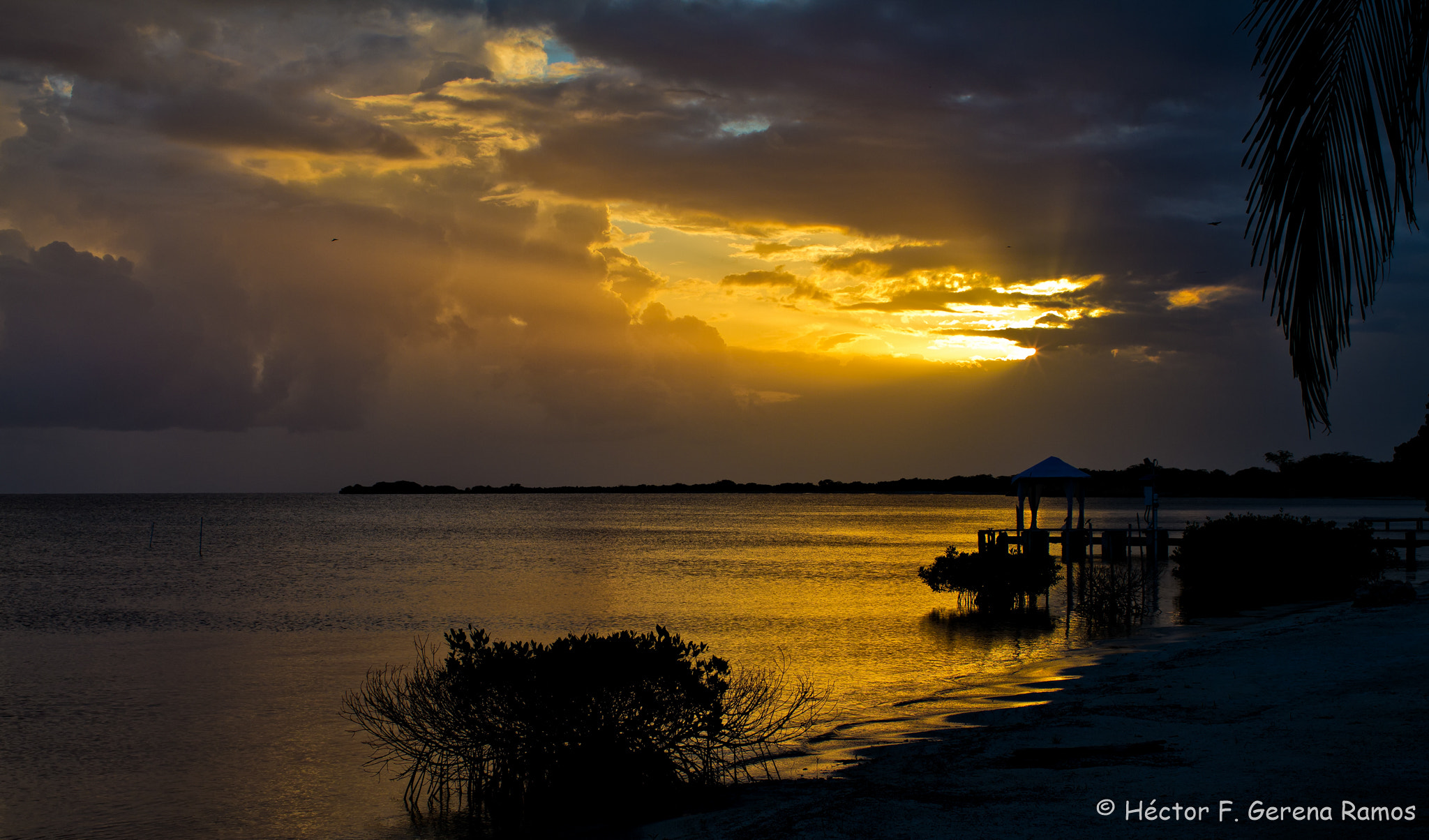 Canon EOS 7D + Canon EF 35mm F1.4L USM sample photo. Yellow sky photography