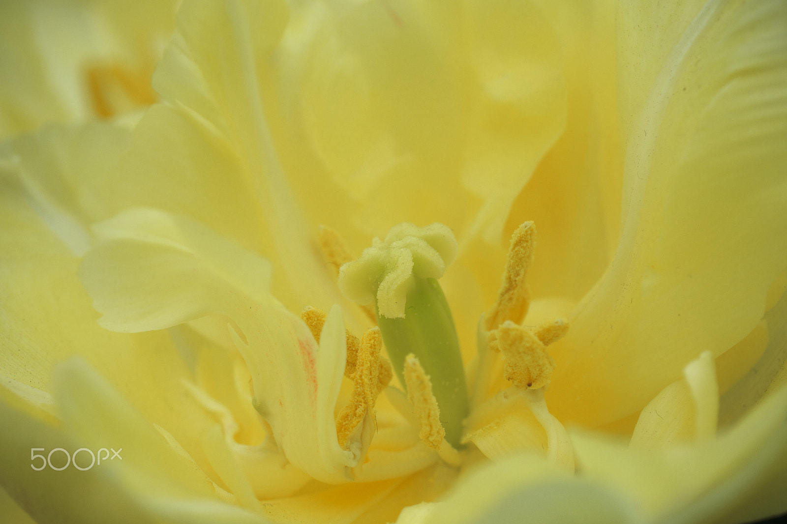 Canon EOS-1D Mark IV sample photo. Untittled photography