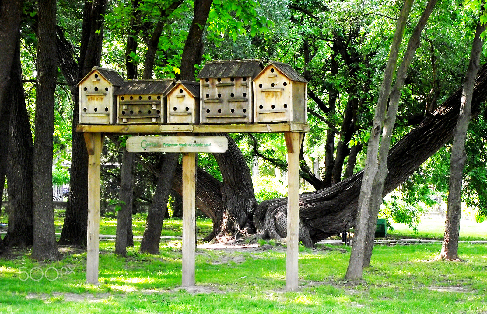 Fujifilm FinePix S2700HD sample photo. Bird house photography