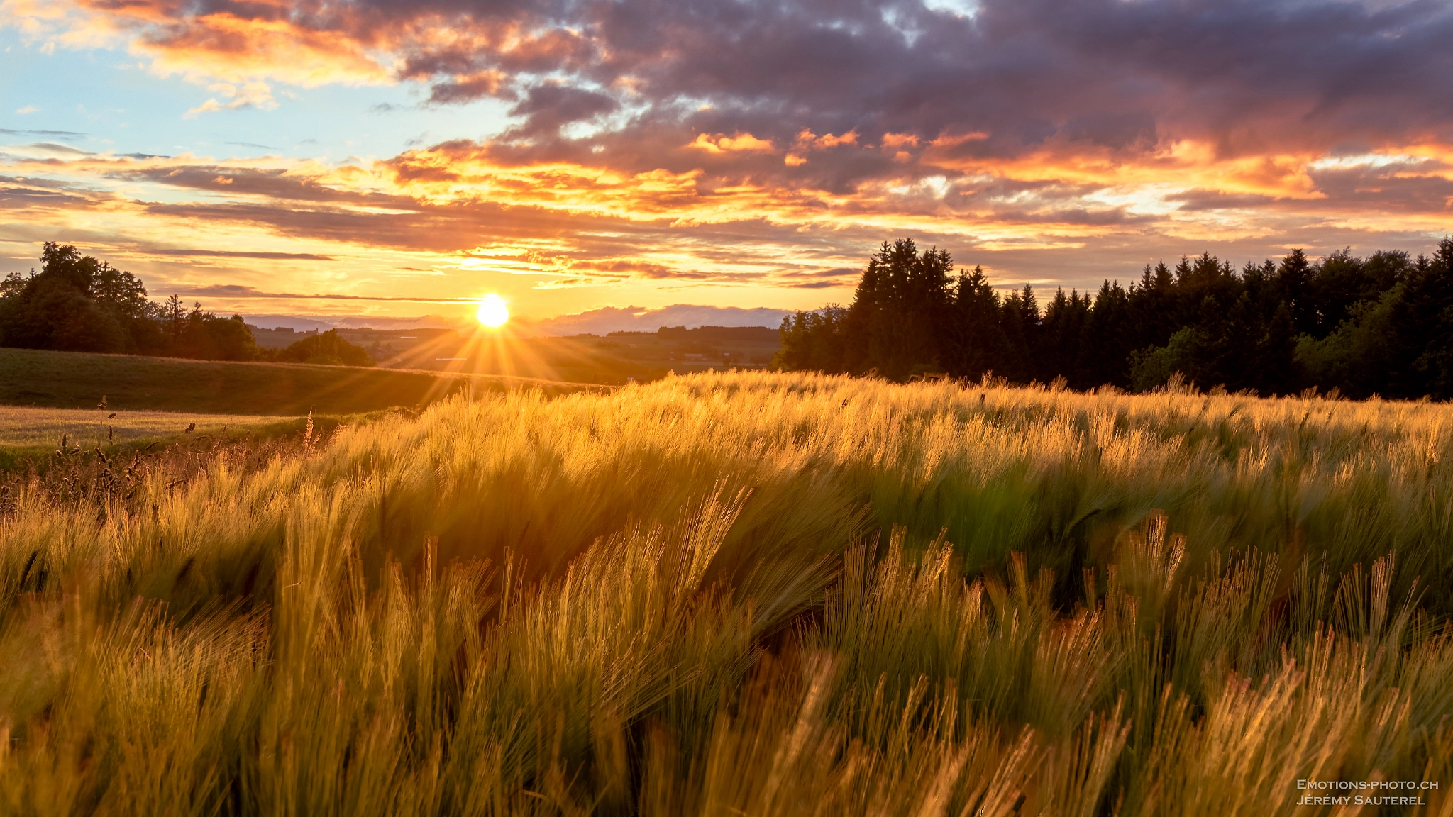 Canon EF-S 10-18mm F4.5–5.6 IS STM sample photo. Sunset on the field photography