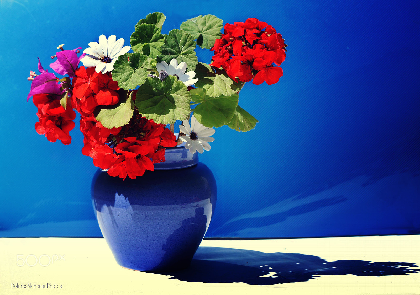 Canon EF 70-300mm F4-5.6 IS USM sample photo. Geraniums photography