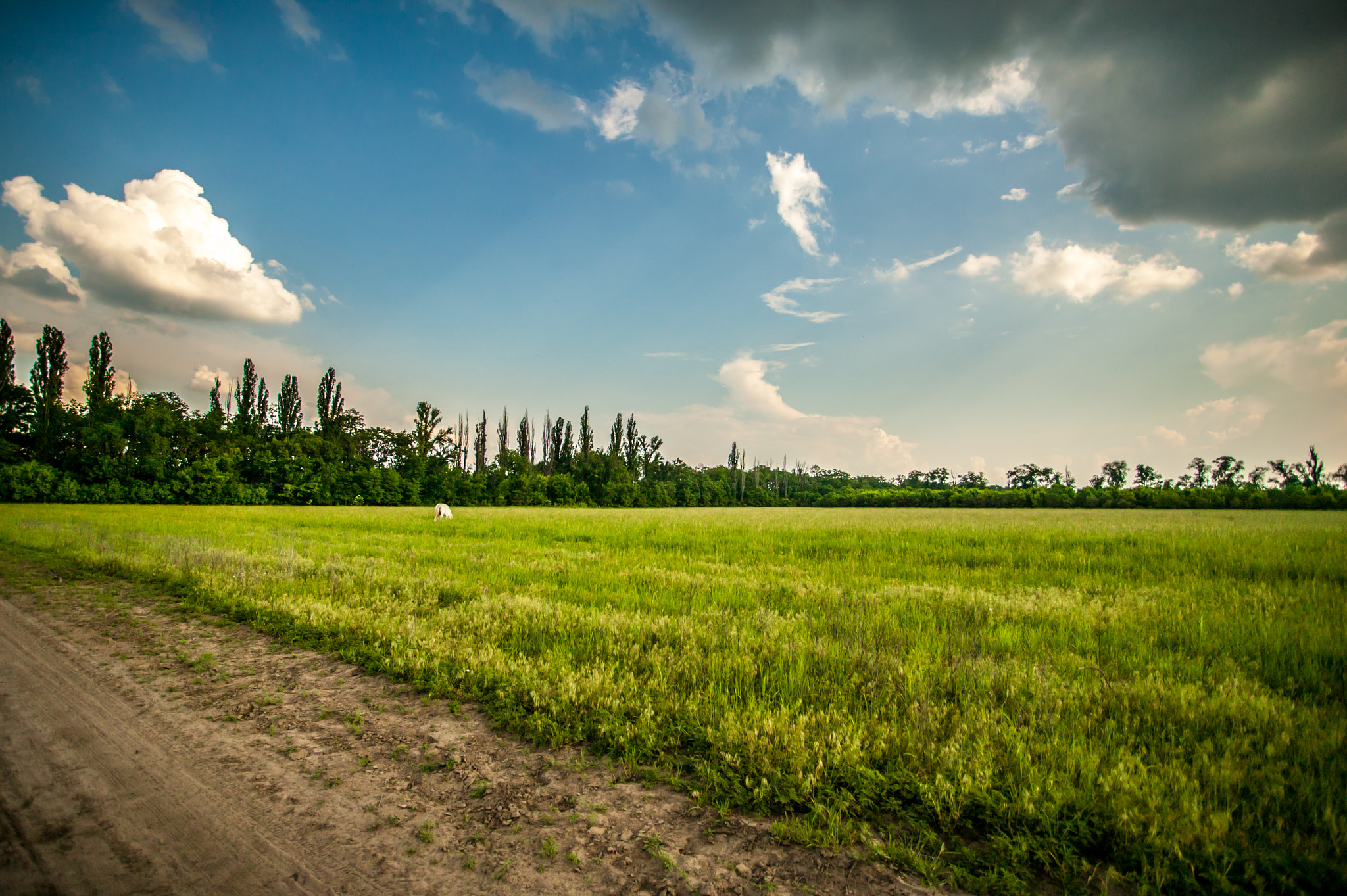 Canon EOS-1Ds + Canon EF 17-40mm F4L USM sample photo. Запорожский край.... photography