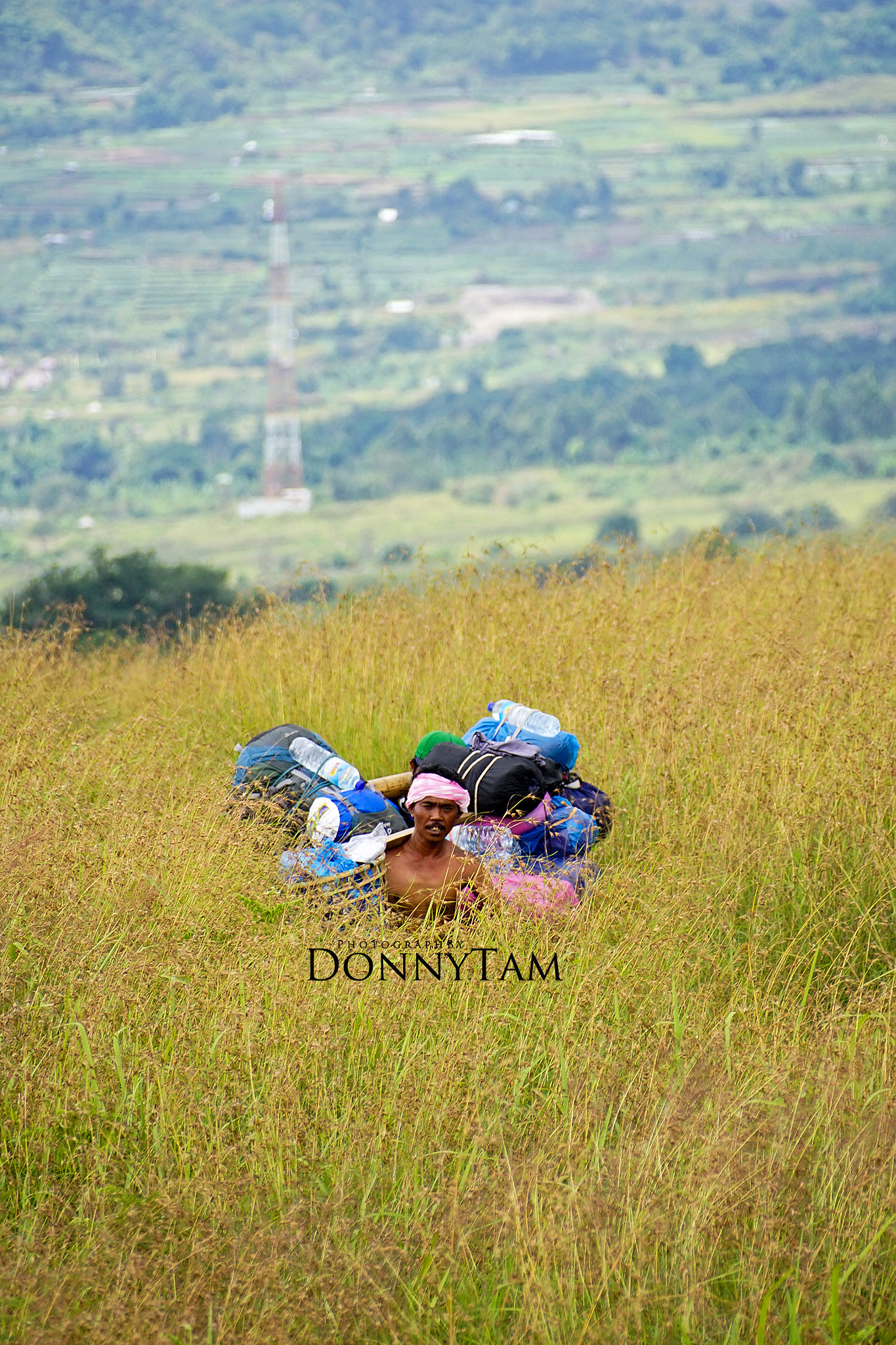 Sony DT 18-250mm F3.5-6.3 sample photo. Delivery in progress photography