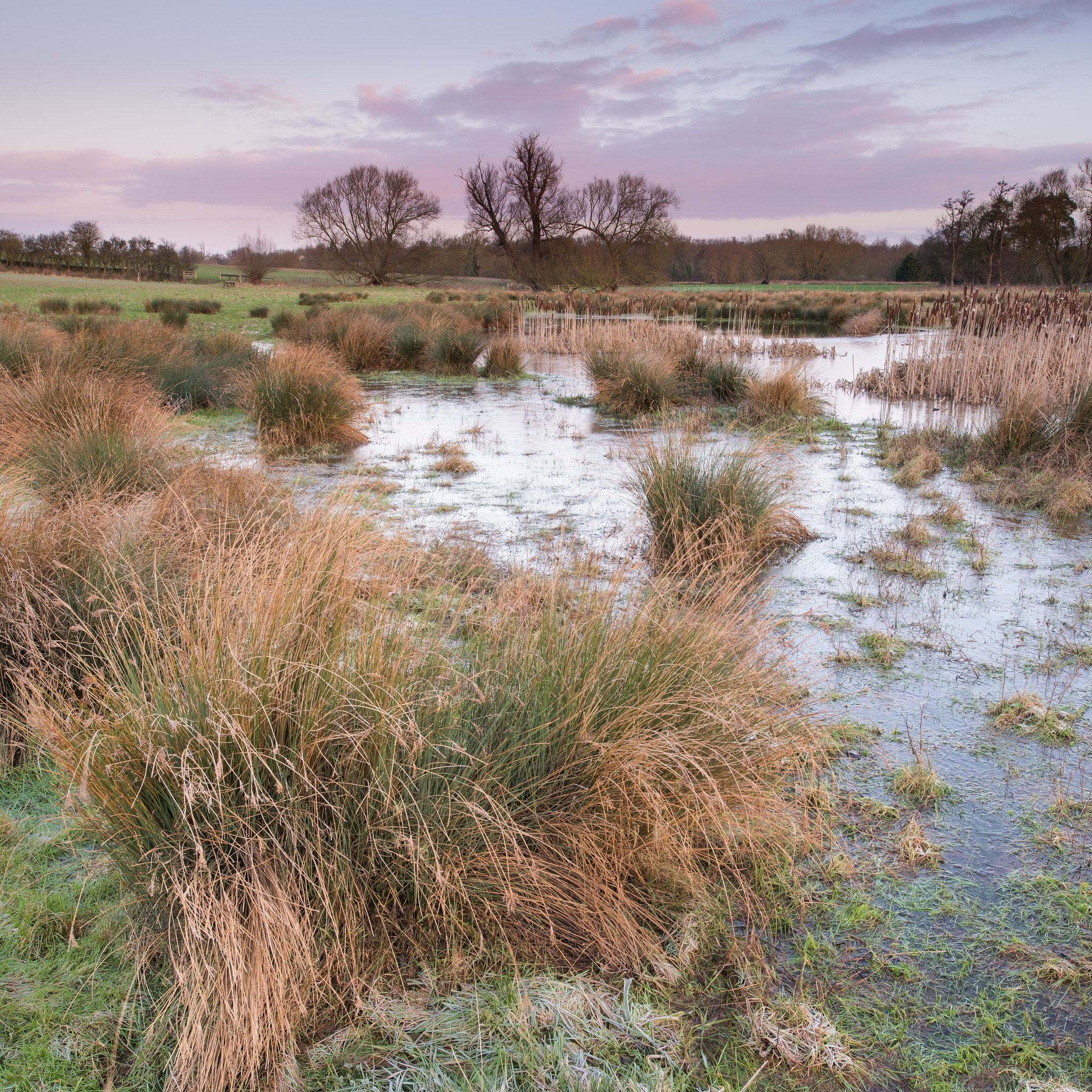 Nikon D810 + Nikon PC-E Nikkor 24mm F3.5D ED Tilt-Shift sample photo. Meadow sunrise photography