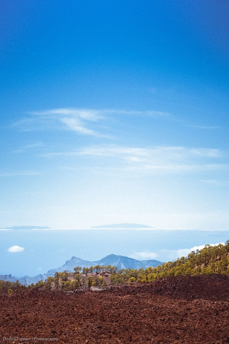 Canon EF 50mm F1.4 USM sample photo. *** photography