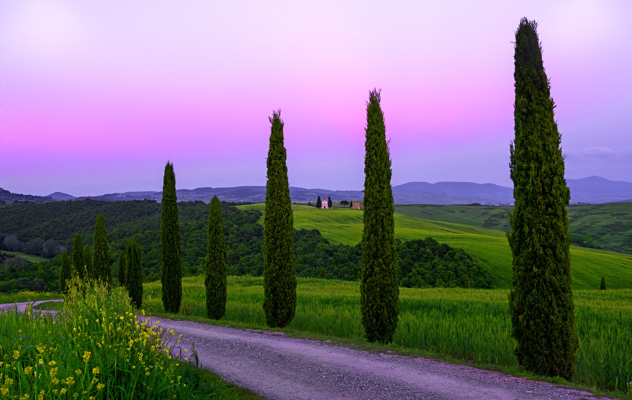Sony a7R II + Canon EF 24-70mm F2.8L USM sample photo. Tuscany sunset 01 photography